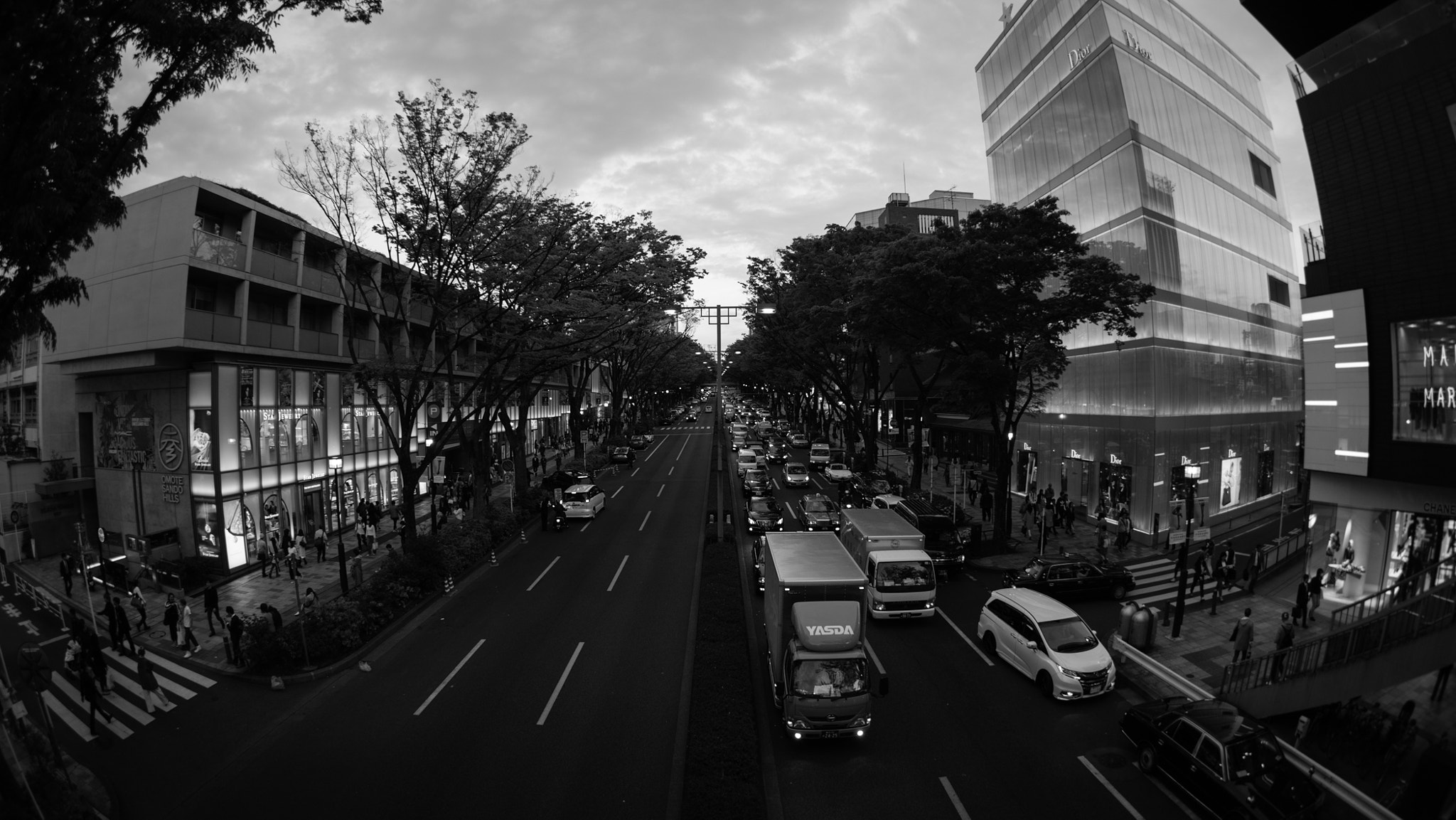 FE 16mm F3.5 Fisheye sample photo. Perspective plus photography