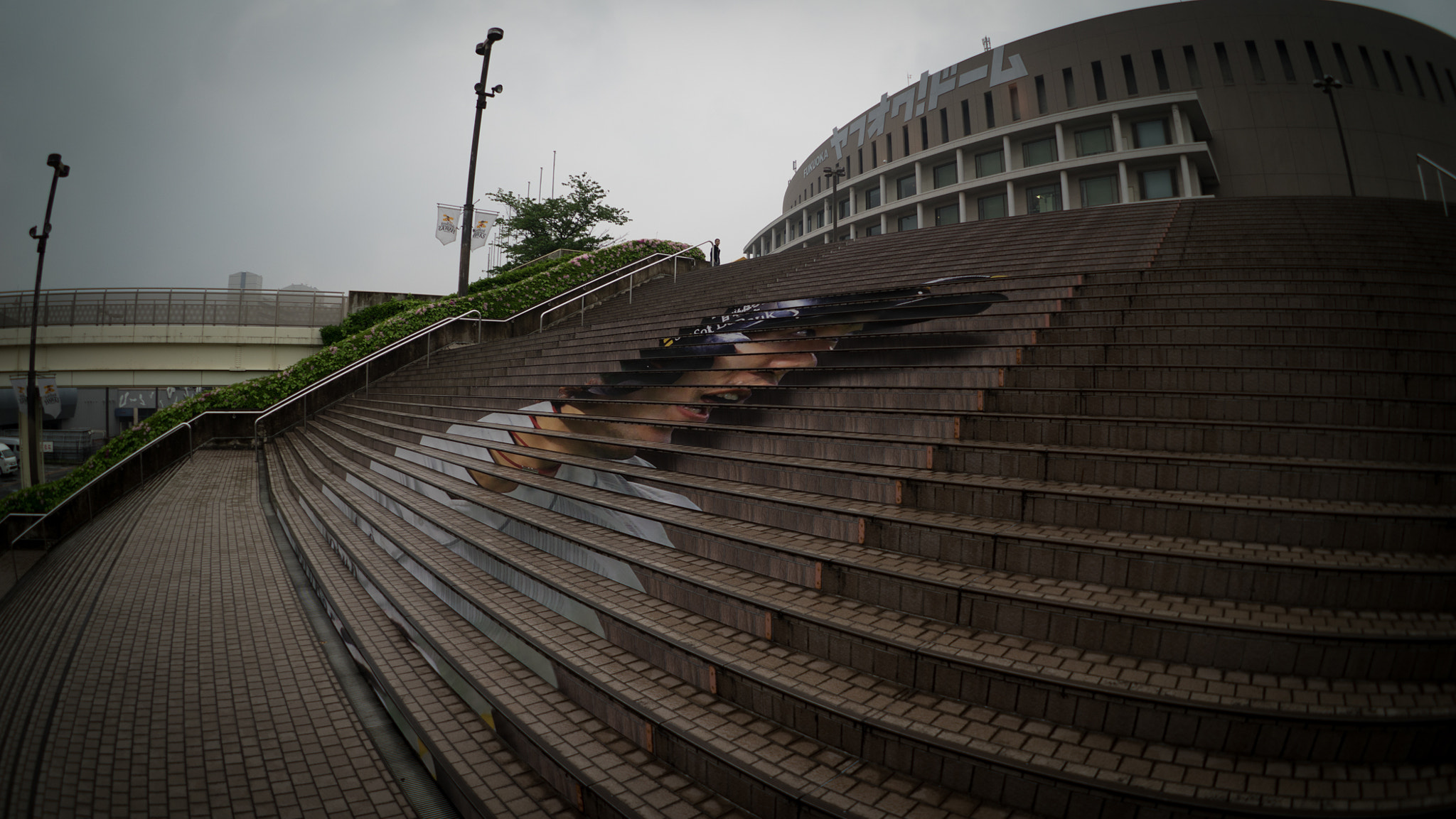 FE 16mm F3.5 Fisheye sample photo. Don't step on my face photography