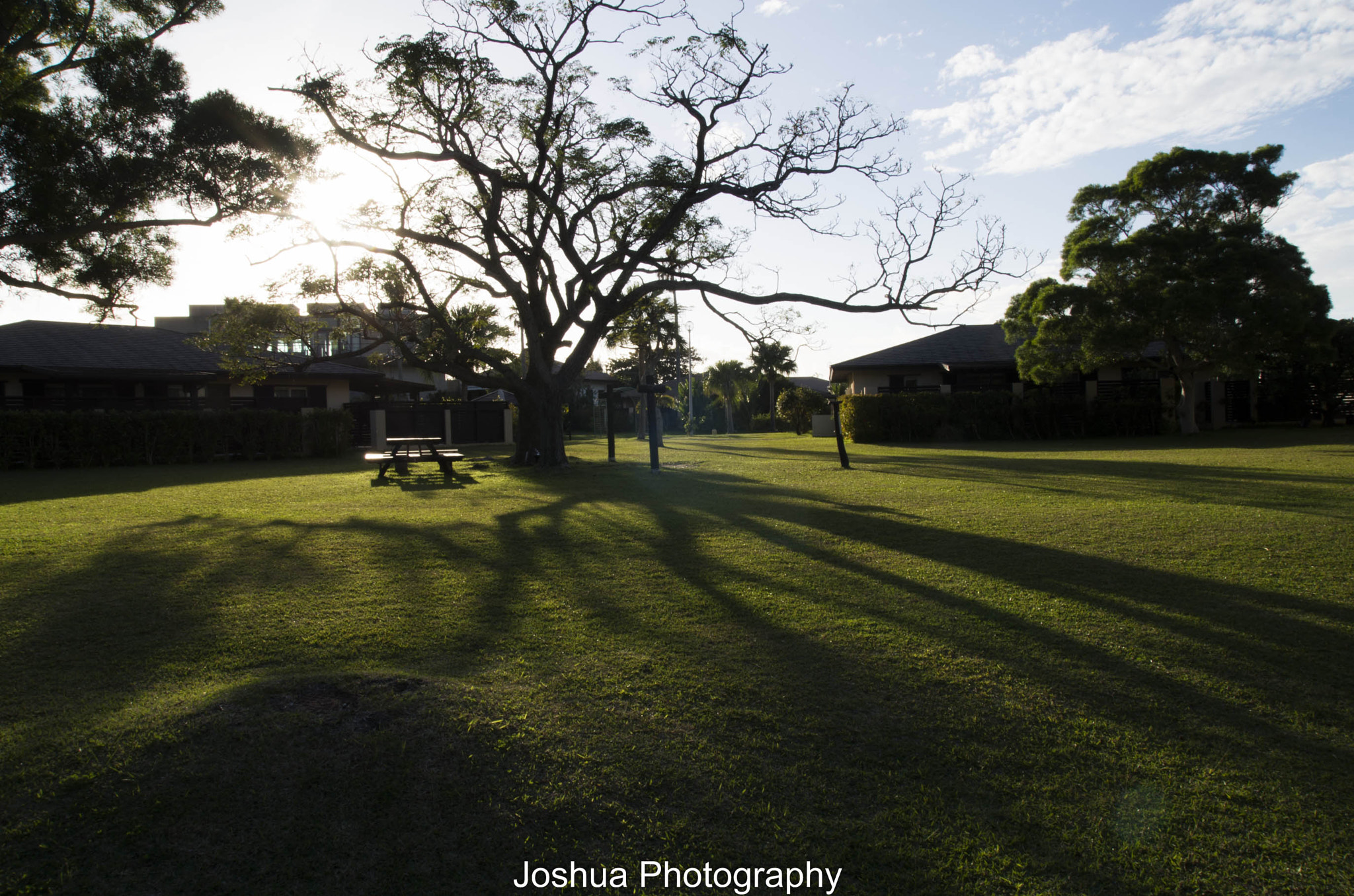 Pentax K-01 sample photo. _igp1211.jpg photography