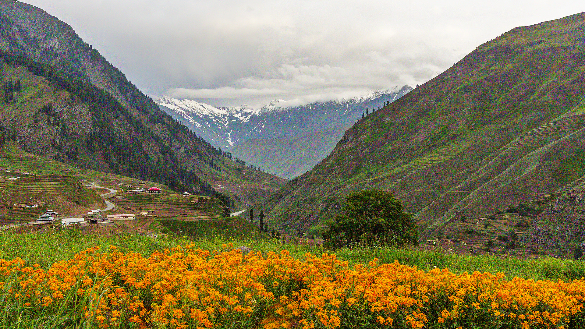 Canon EOS 650D (EOS Rebel T4i / EOS Kiss X6i) sample photo. Postcard from naran #2 photography
