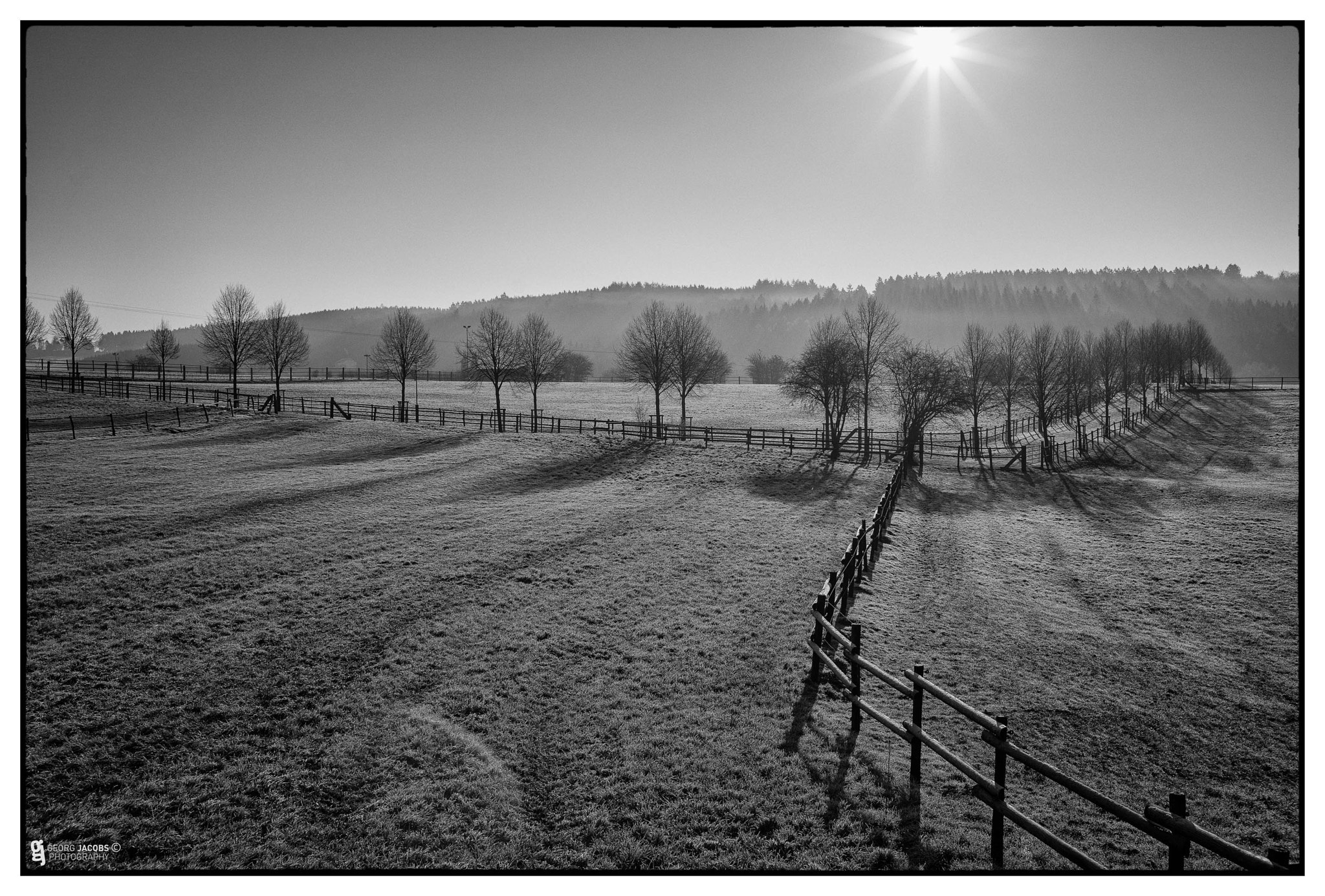 E 35mm F2 sample photo. Good morning. photography
