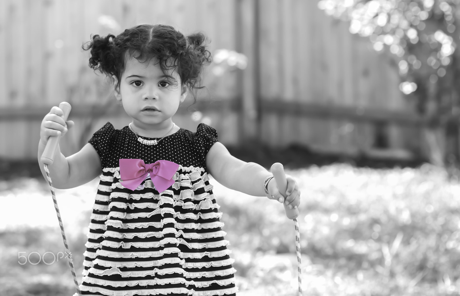 Canon EOS 600D (Rebel EOS T3i / EOS Kiss X5) + Canon EF 50mm F1.4 USM sample photo. Finley photography