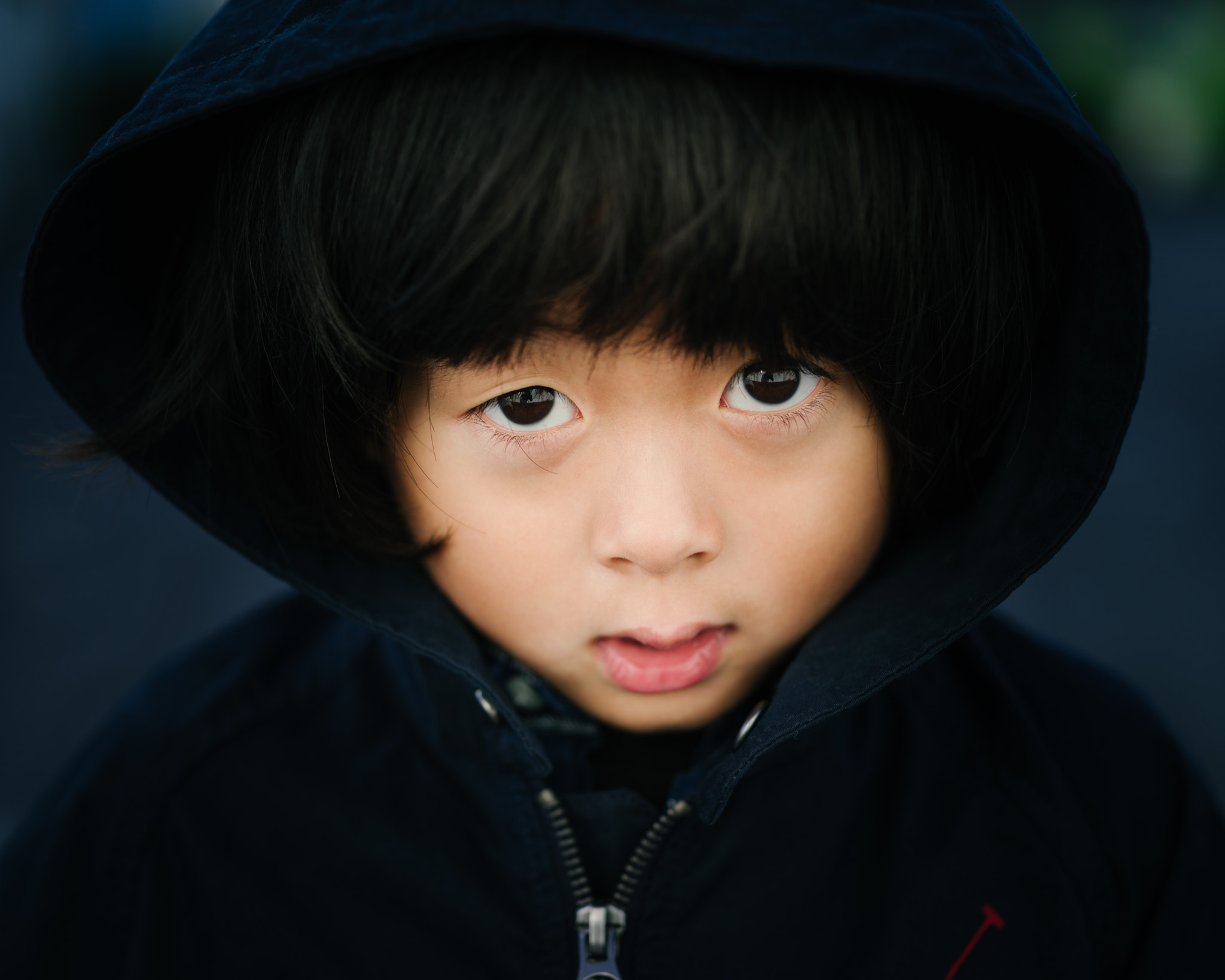 Summarit-S 70 sample photo. 乐乐 photography