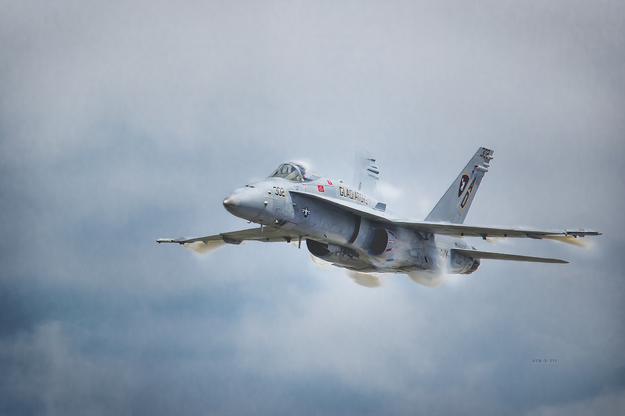 Sigma 150-600mm F5-6.3 DG OS HSM | C sample photo. Hornet photography