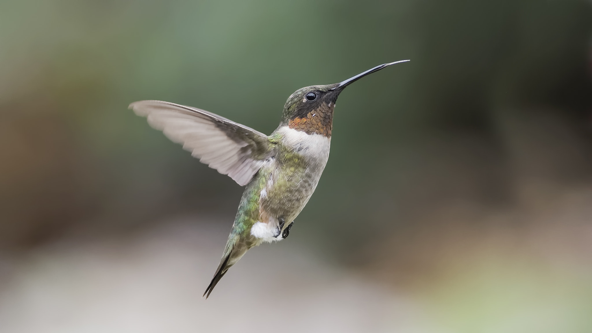 AF Zoom-Nikkor 35-80mm f/4-5.6D sample photo. Diamond photography