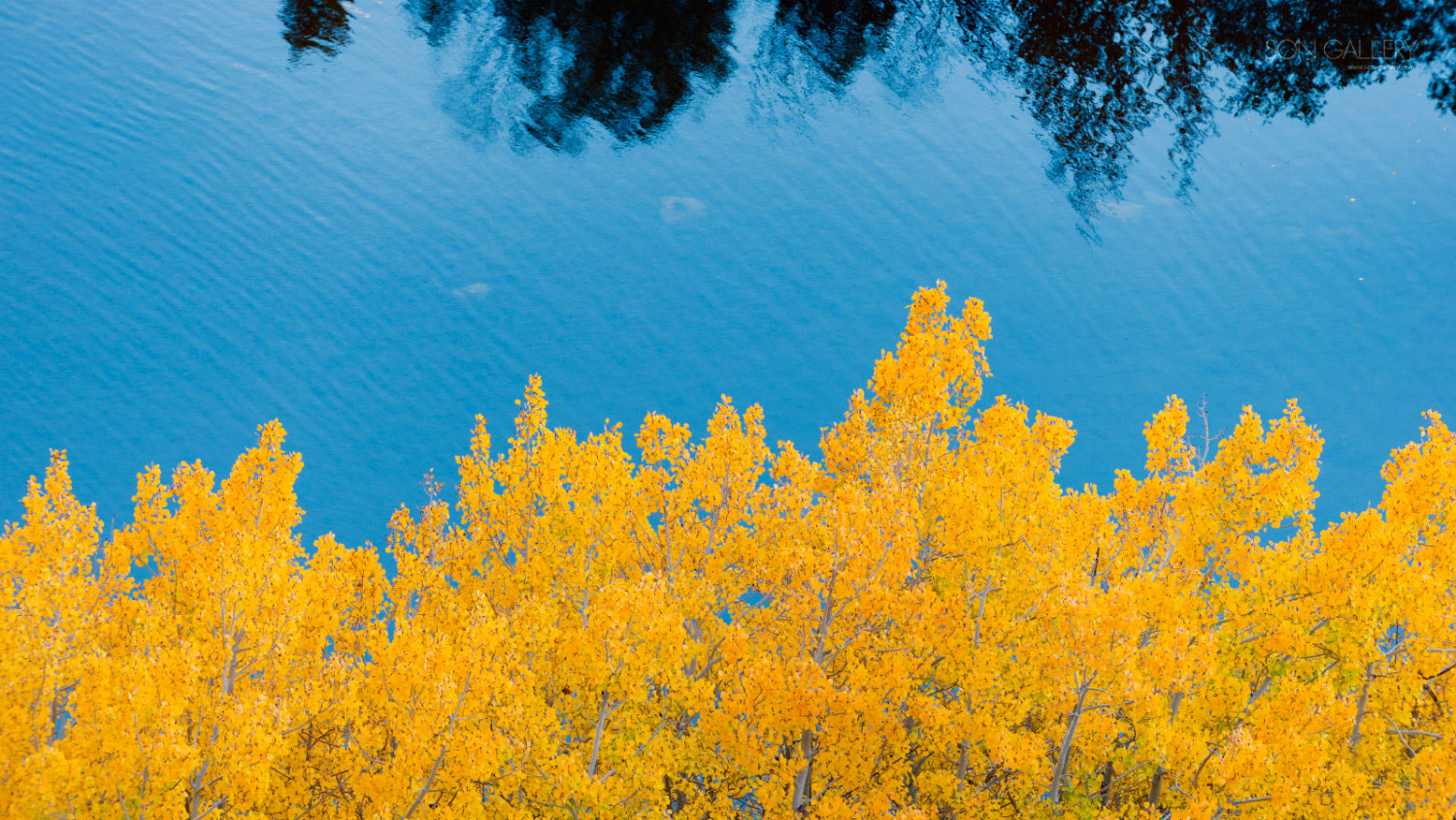 Nikon D810A + Nikon AF-S Nikkor 70-200mm F2.8G ED VR sample photo. Autumn trip to us eastern sierra (with journal) photography