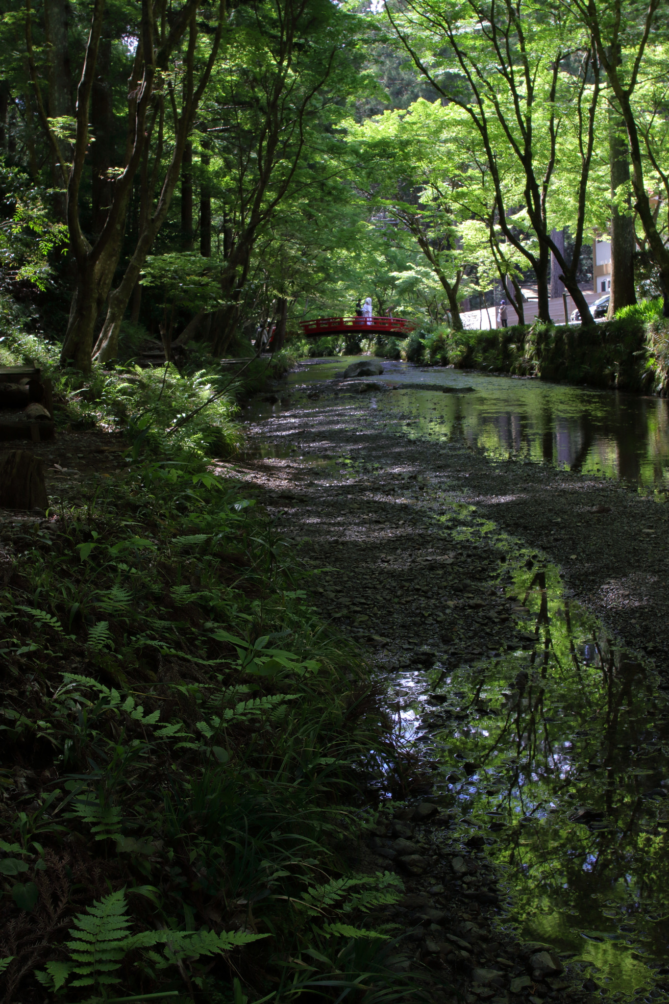 Sigma 28mm f/1.8 DG Macro EX sample photo. ...春の幸せ。 photography
