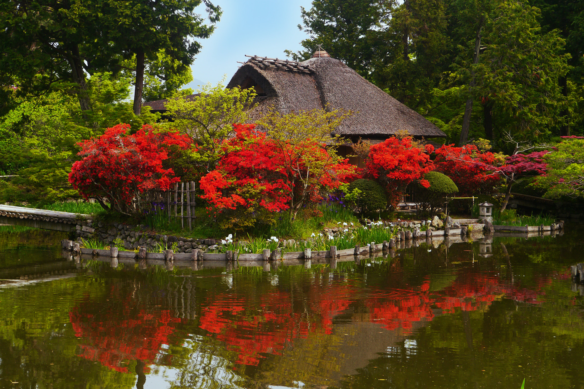 Panasonic Lumix DMC-GX1 sample photo. Spring in kyoto photography