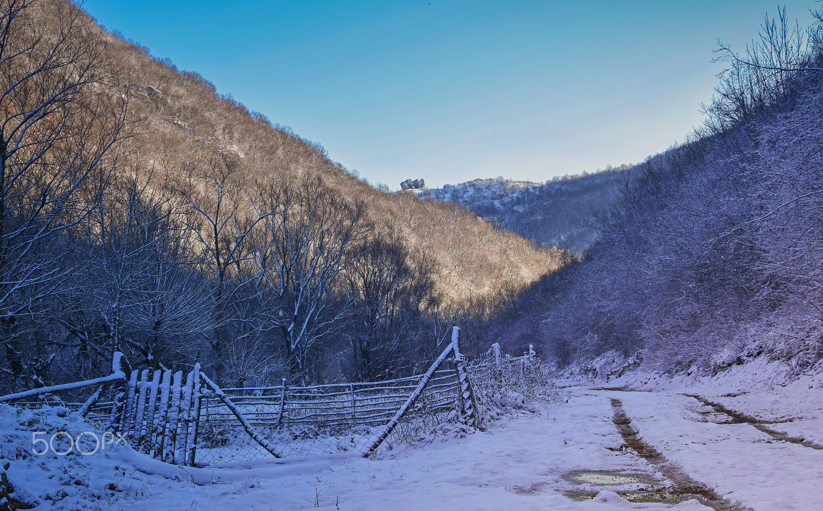 Nikon D5300 + Sigma 17-70mm F2.8-4 DC Macro OS HSM | C sample photo. Winter. photography