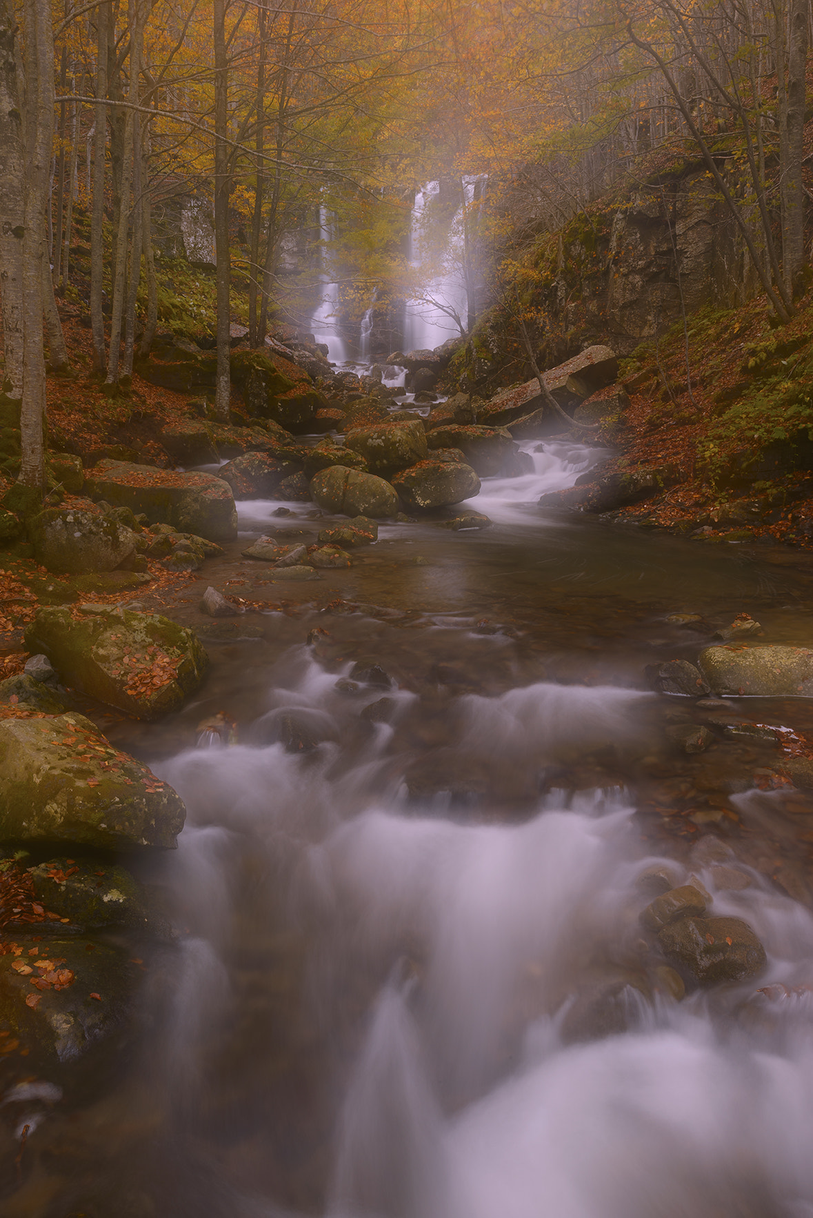 Nikon D800E + Nikon PC-E Nikkor 24mm F3.5D ED Tilt-Shift sample photo. Cascate del dardagna photography