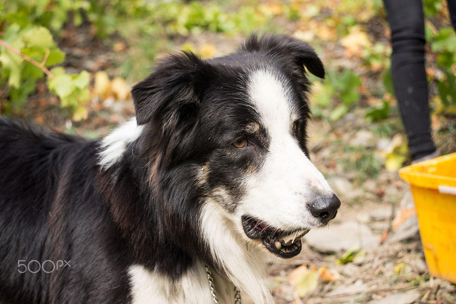 AF Zoom-Nikkor 35-80mm f/4-5.6D N sample photo. Harrie photography
