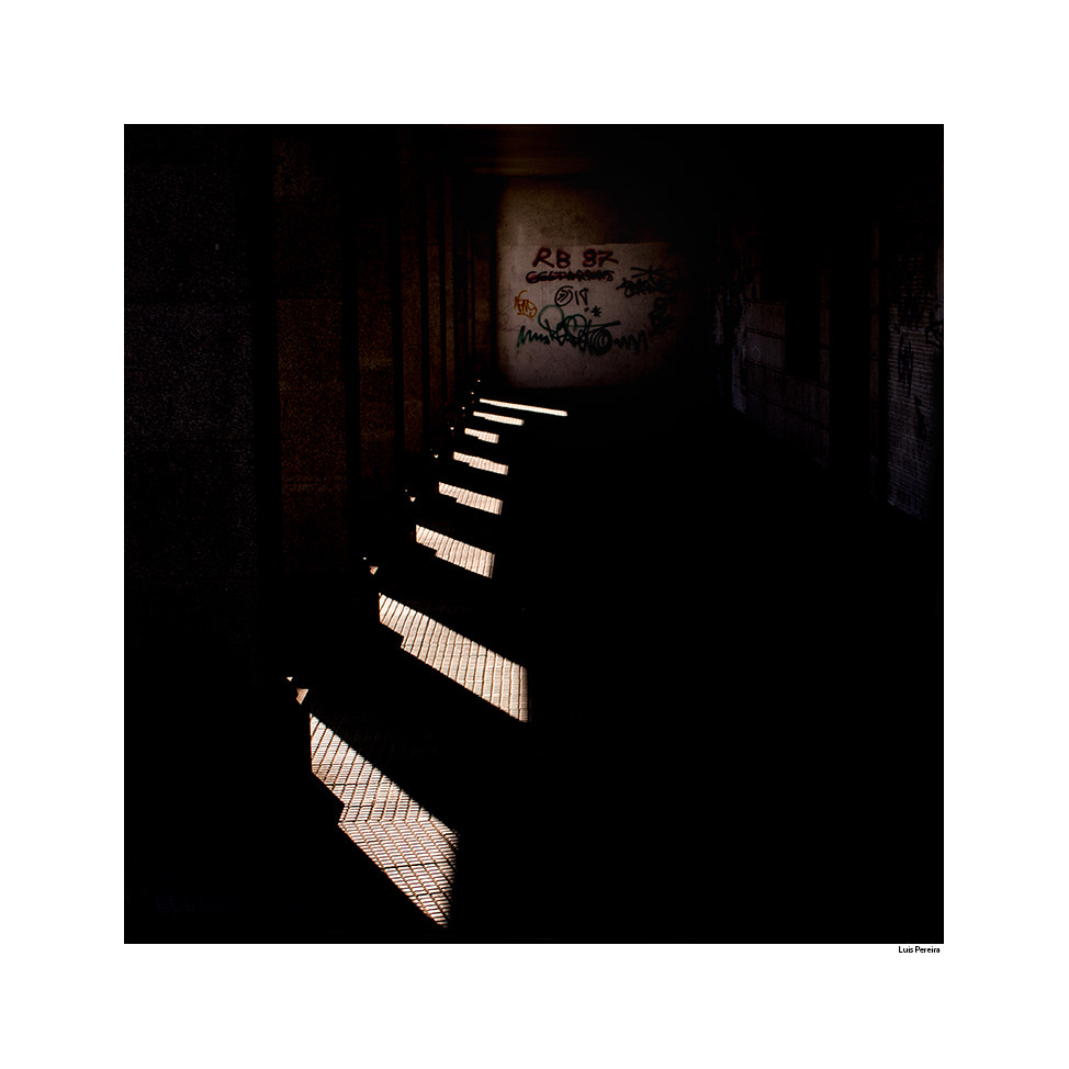 Olympus OM-D E-M5 + Sigma 30mm F2.8 EX DN sample photo. De patrones y luz... photography