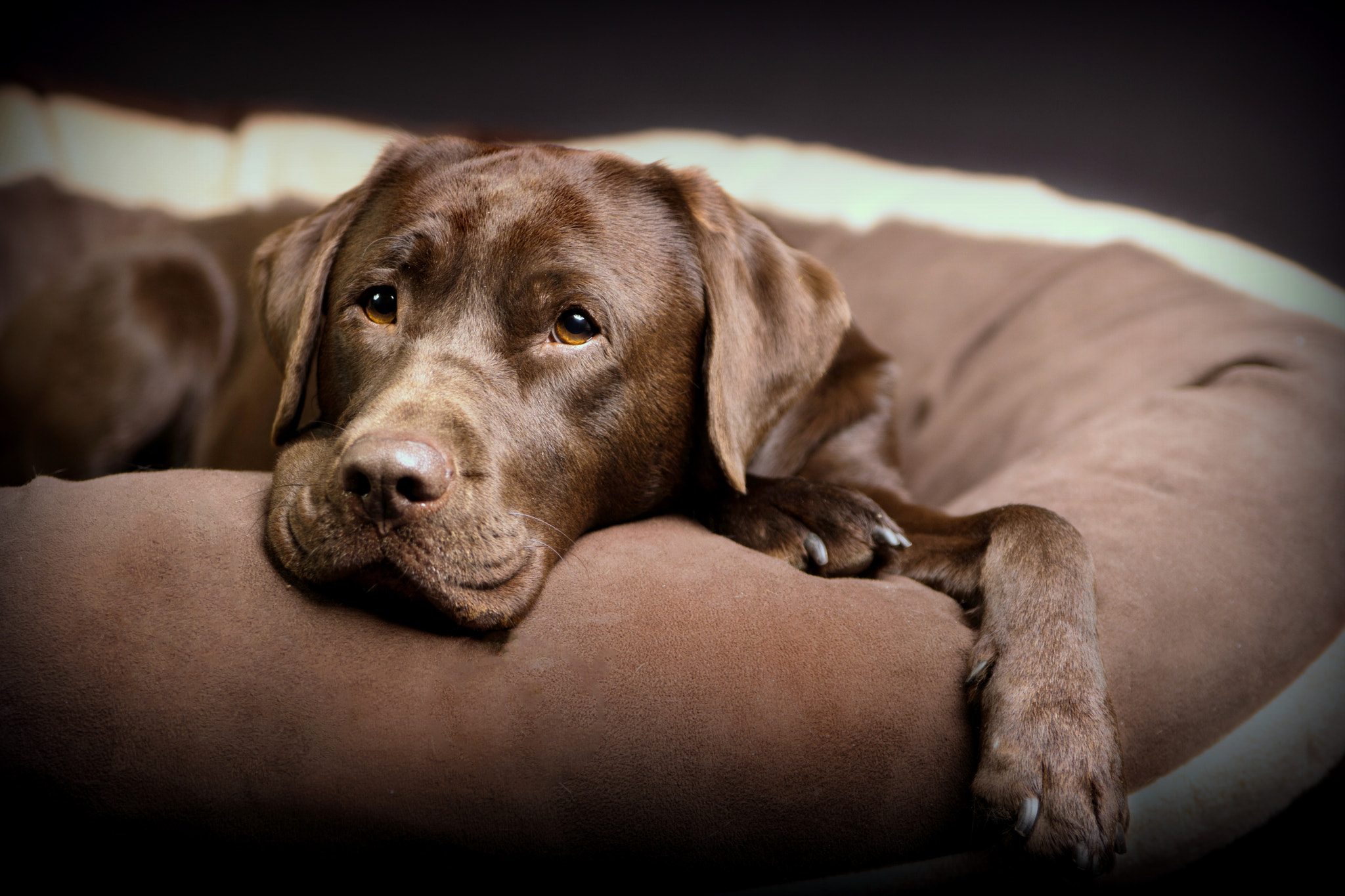 Sony ILCA-77M2 sample photo. Hanna relax photography