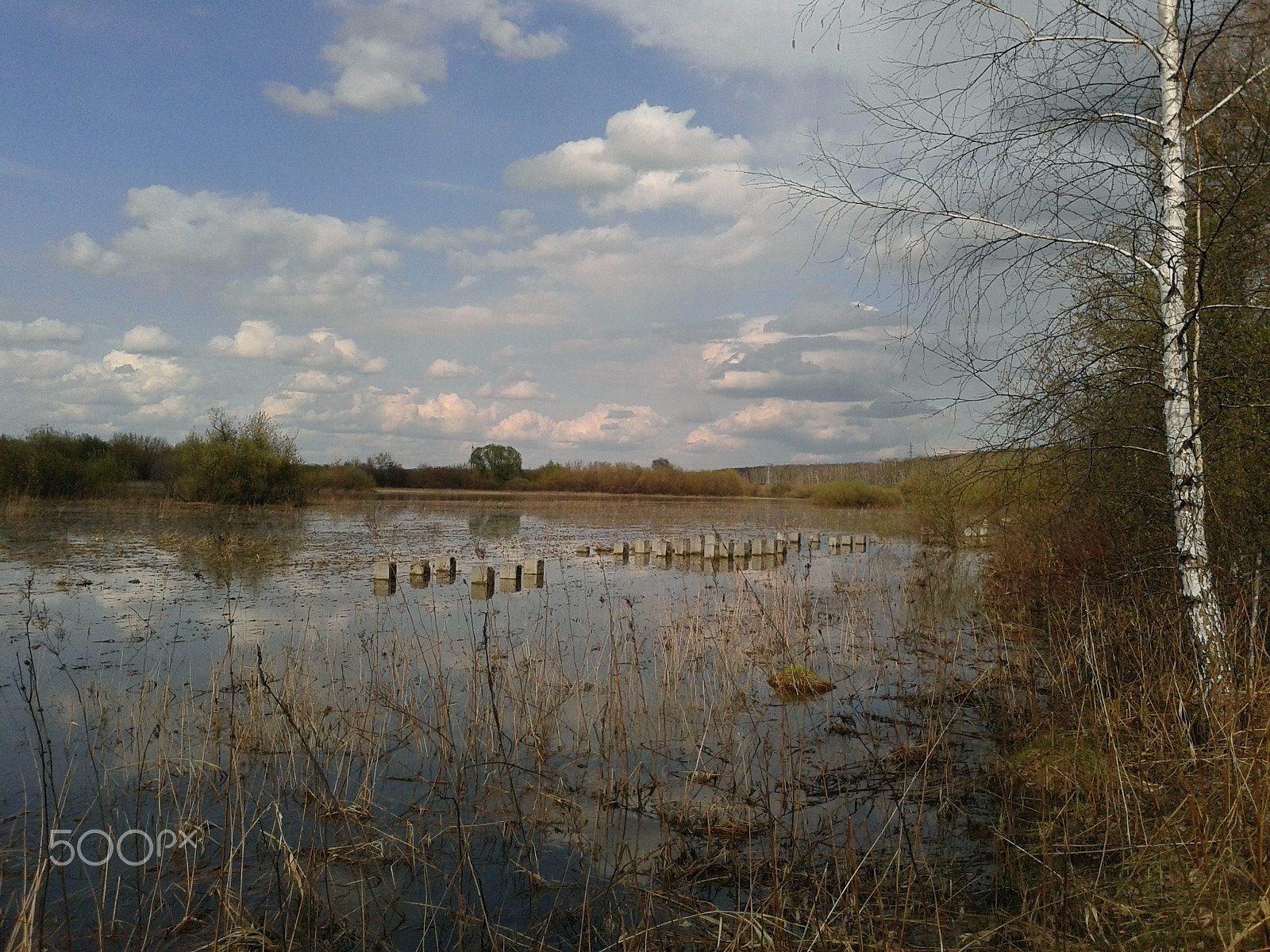 Samsung GT-S5610 sample photo. Meadows in the water photography