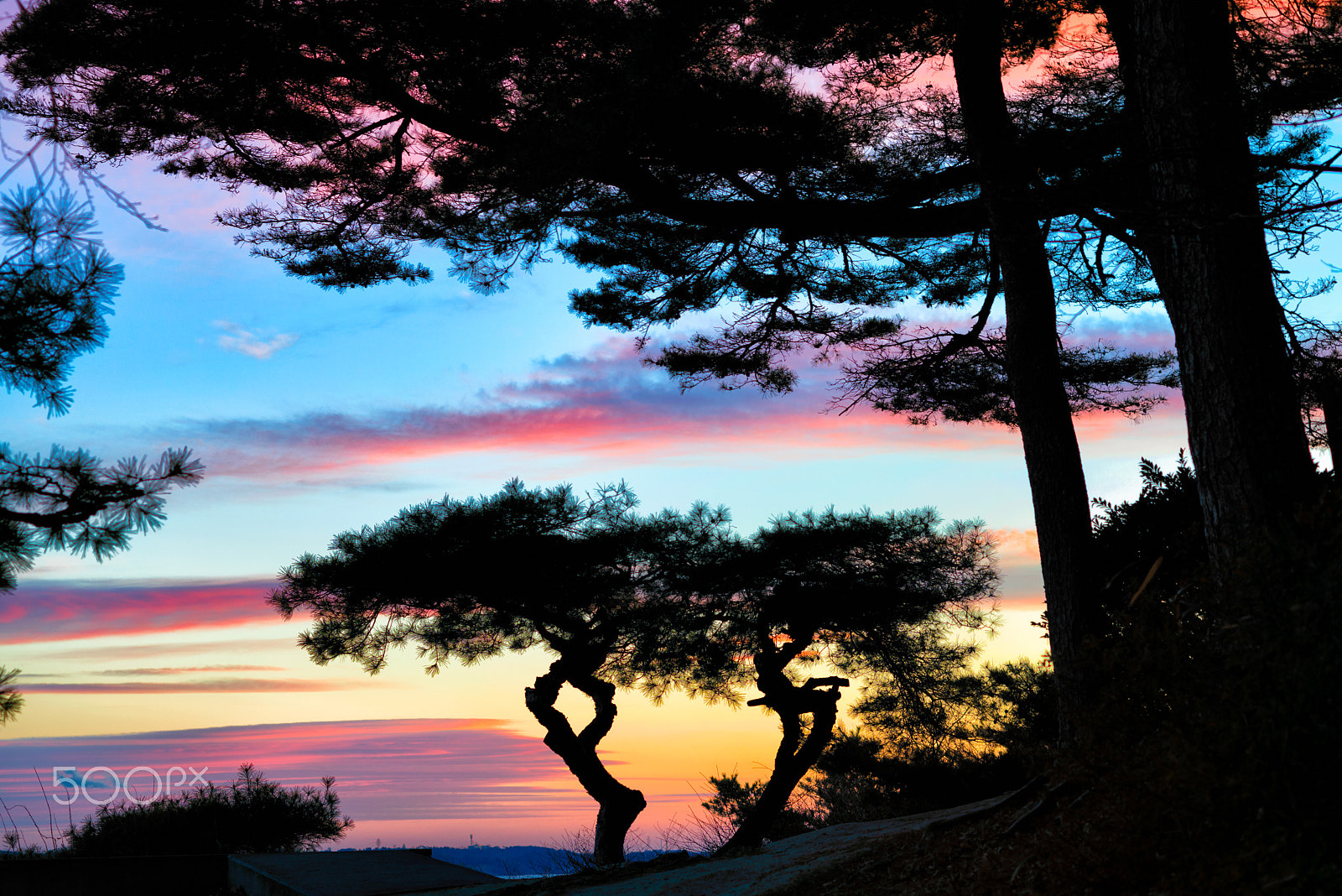 ZEISS Makro-Planar T* 50mm F2 sample photo. Twilight matsushima photography