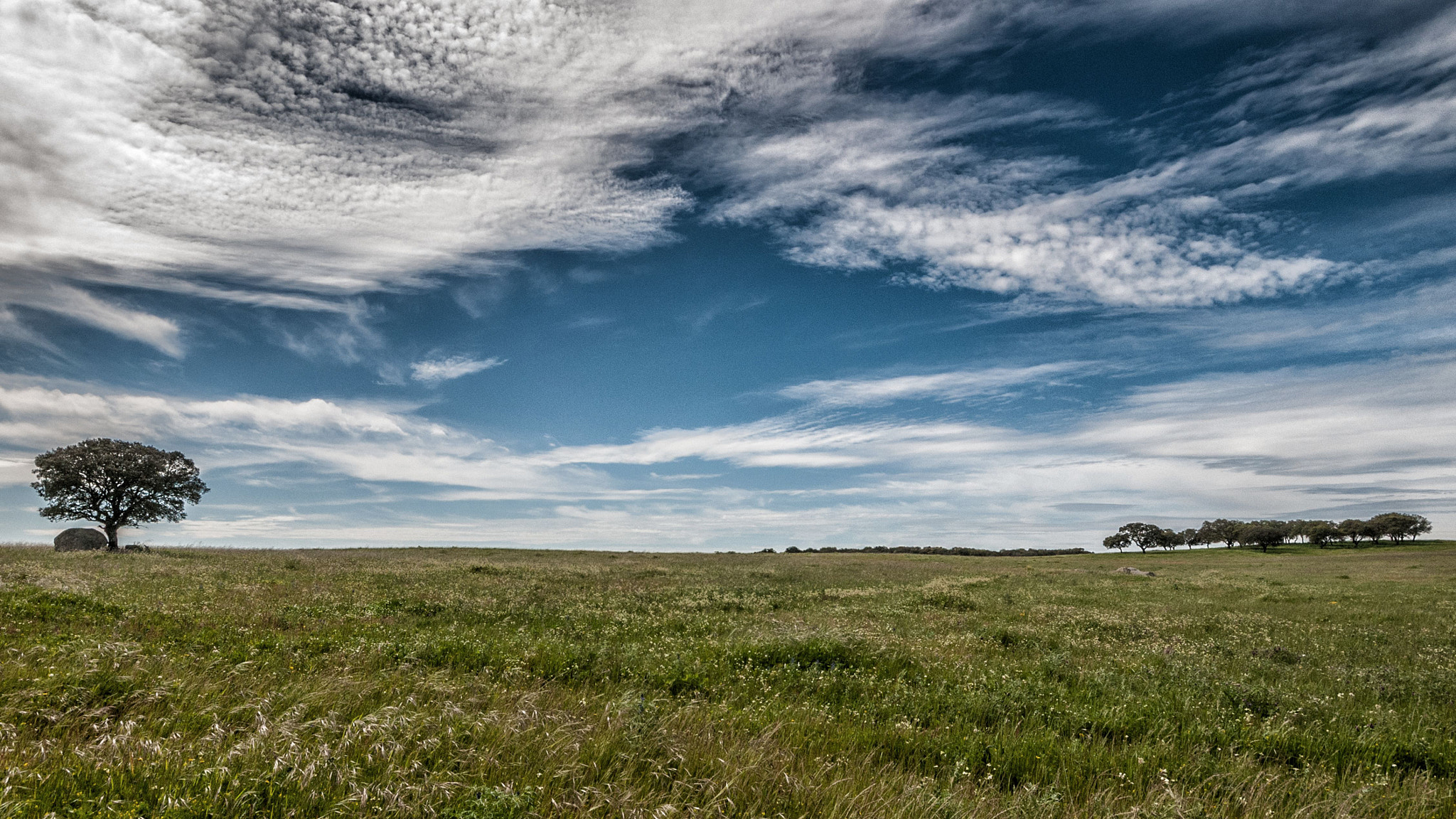 Sigma 10-20mm F4-5.6 EX DC HSM sample photo. Alentejo's landscape photography