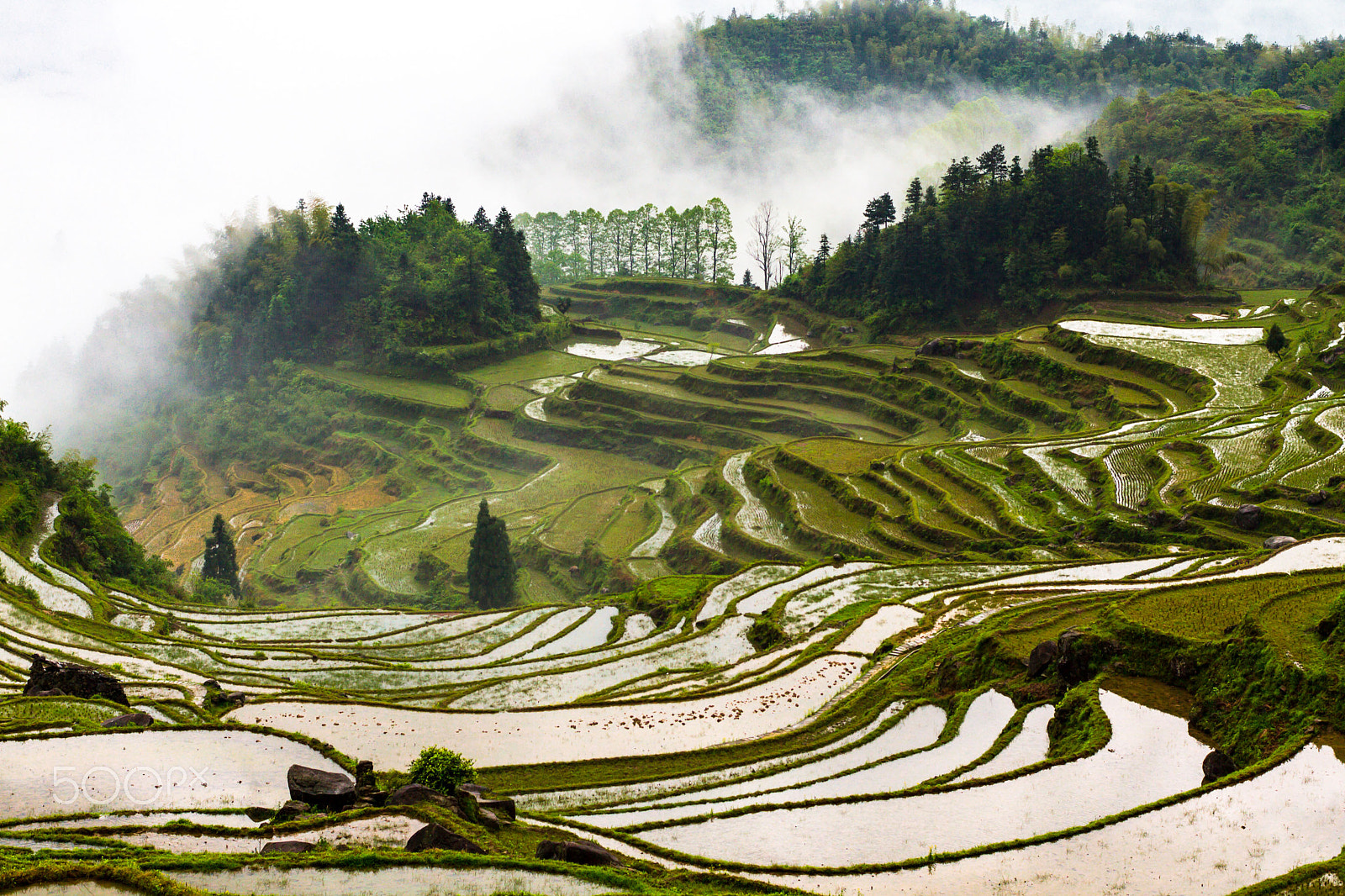 ZEISS Planar T* 50mm F1.4 sample photo. 云和梯田the terraced fields photography