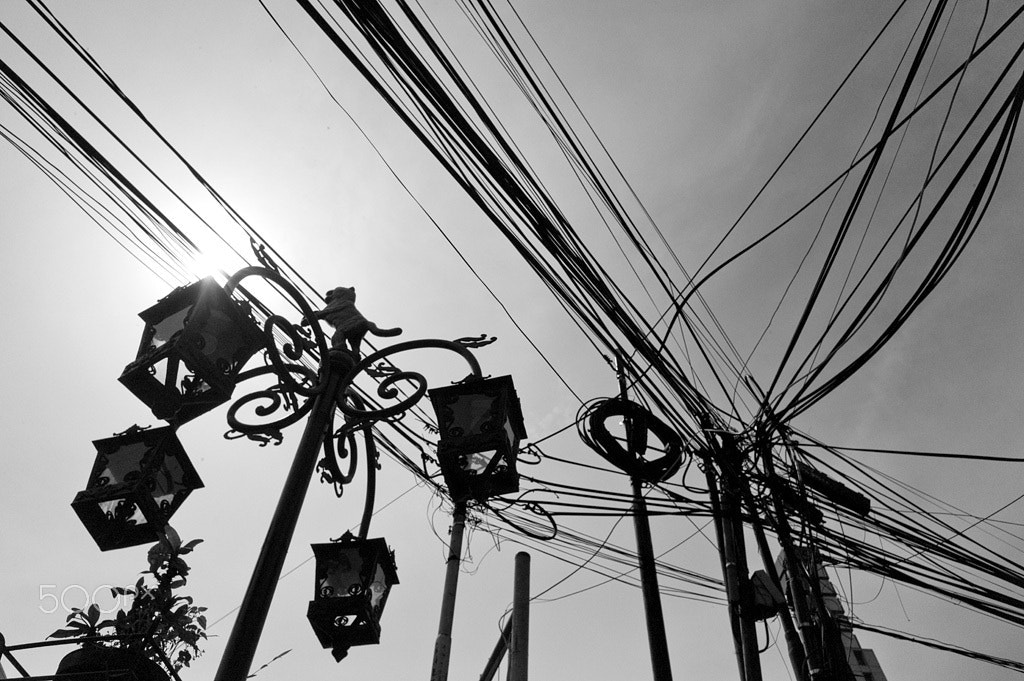 Leica M9 + Leica Elmarit-M 24mm F2.8 ASPH sample photo. Complicated photography