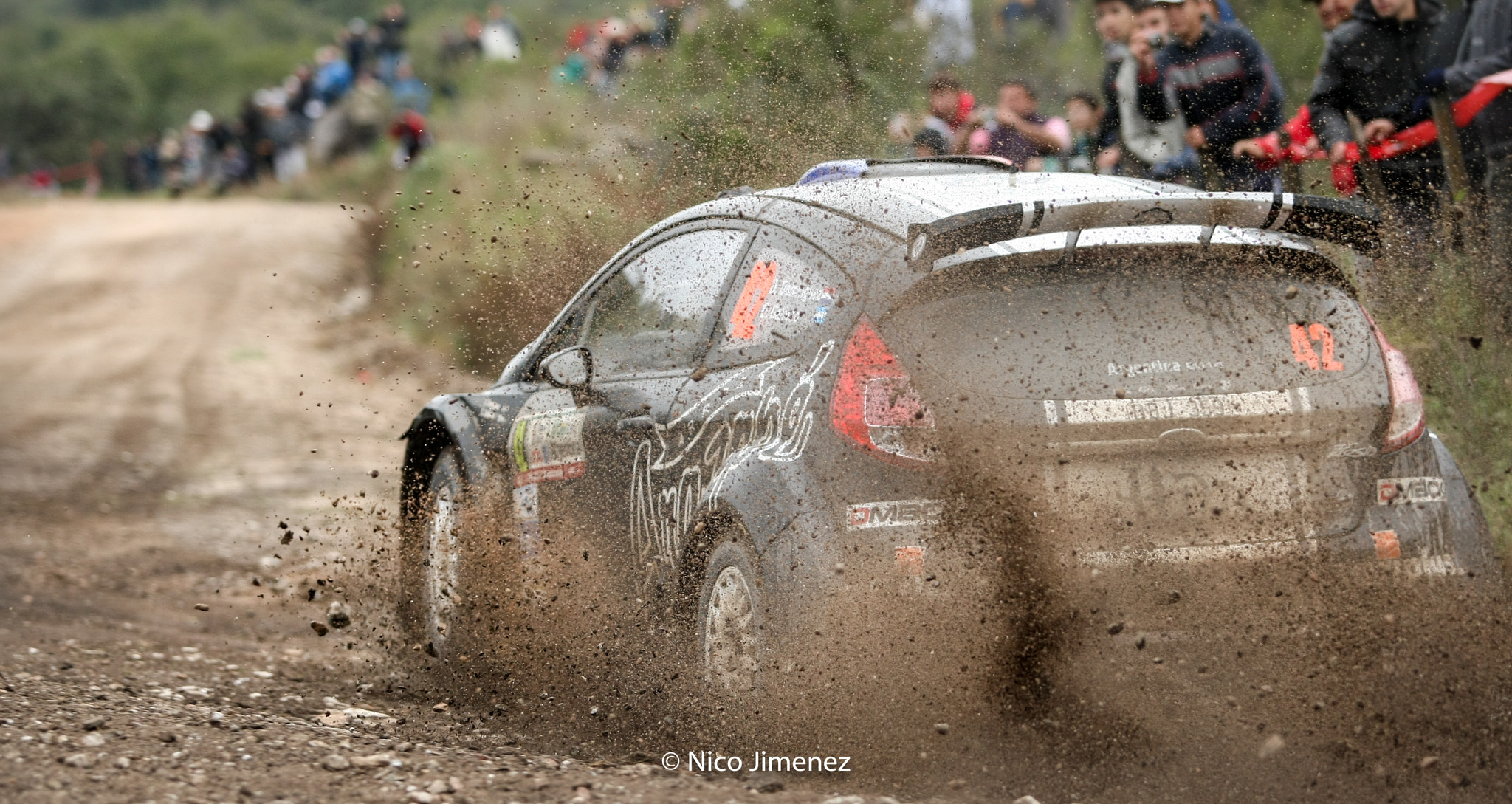 Canon EOS-1D Mark III + Canon EF 70-200mm F2.8L USM sample photo. Wrc argentina 2014 photography