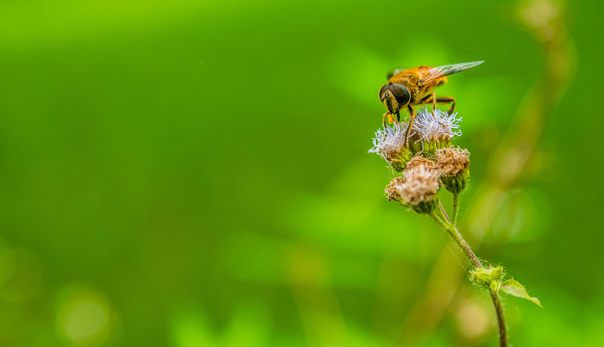 Nikon D5300 + AF Zoom-Nikkor 35-135mm f/3.5-4.5 N sample photo. Trip photography