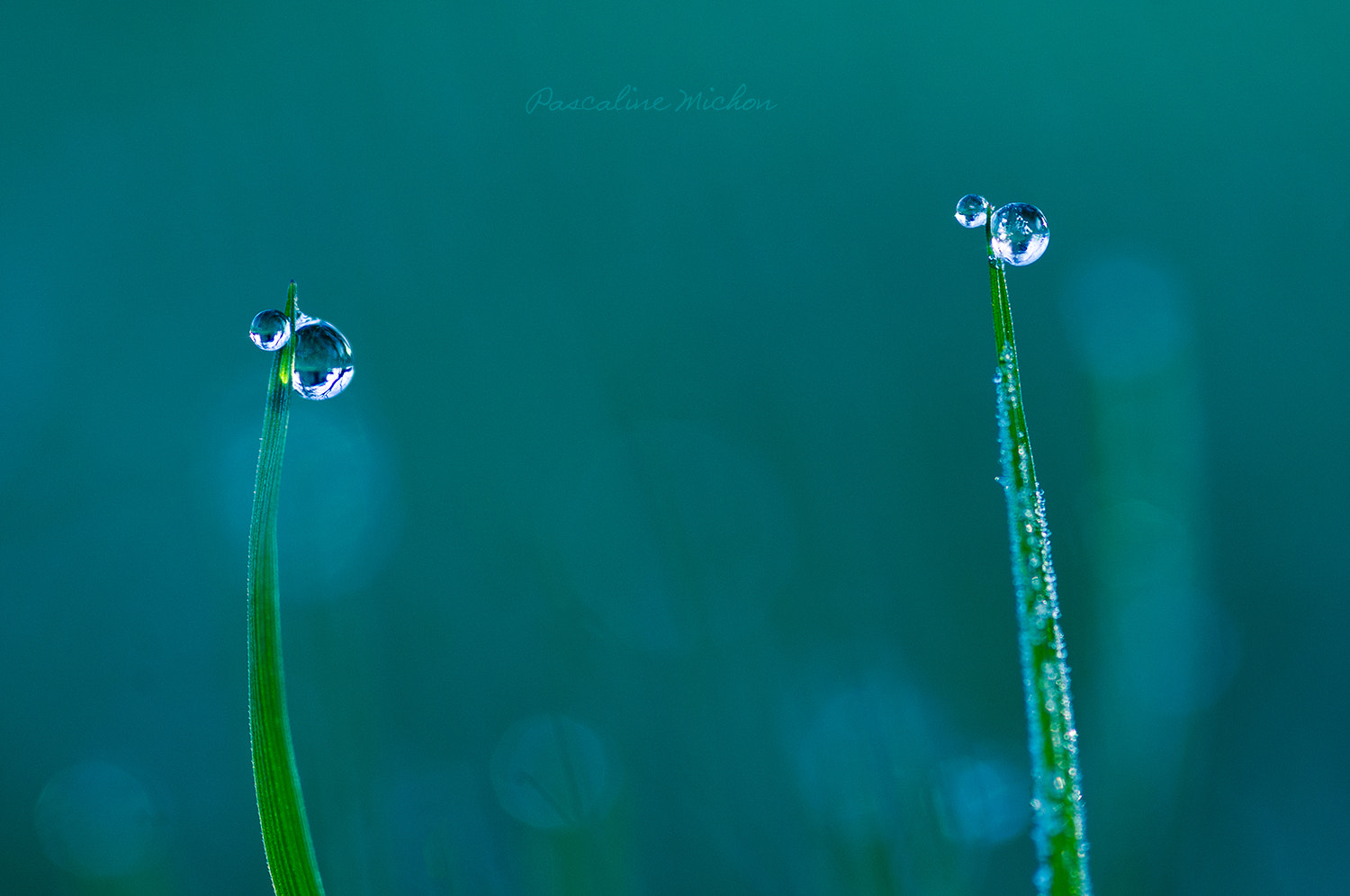 Pentax K-r + Sigma sample photo. Twins photography