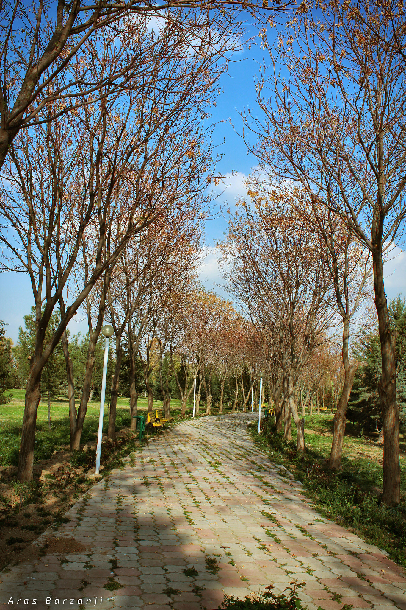 Canon EF-S 18-55mm F3.5-5.6 IS II sample photo