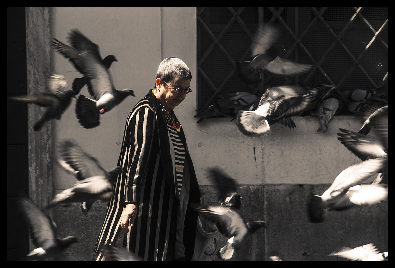 Sigma 18-200mm f/3.5-6.3 DC OS sample photo. Old pigeon woman photography