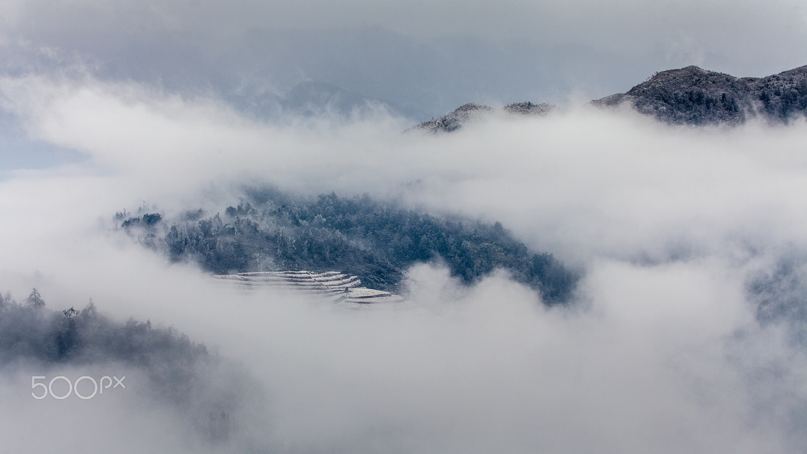 Canon EF 80-200mm f/2.8L sample photo. Rice terrace in fog photography