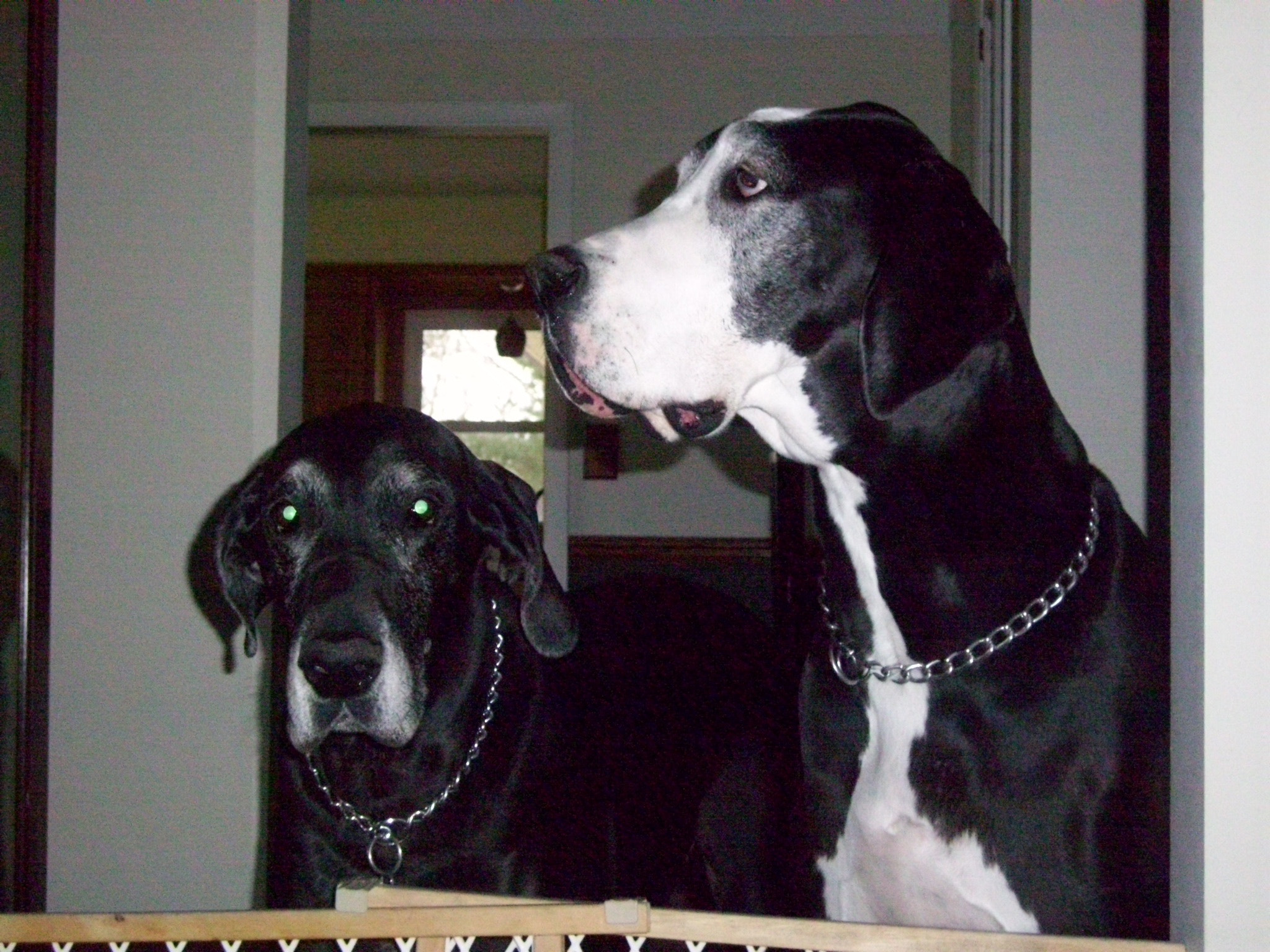 Kodak EASYSHARE M1073 IS DIGITAL CAMERA sample photo. Riley photography