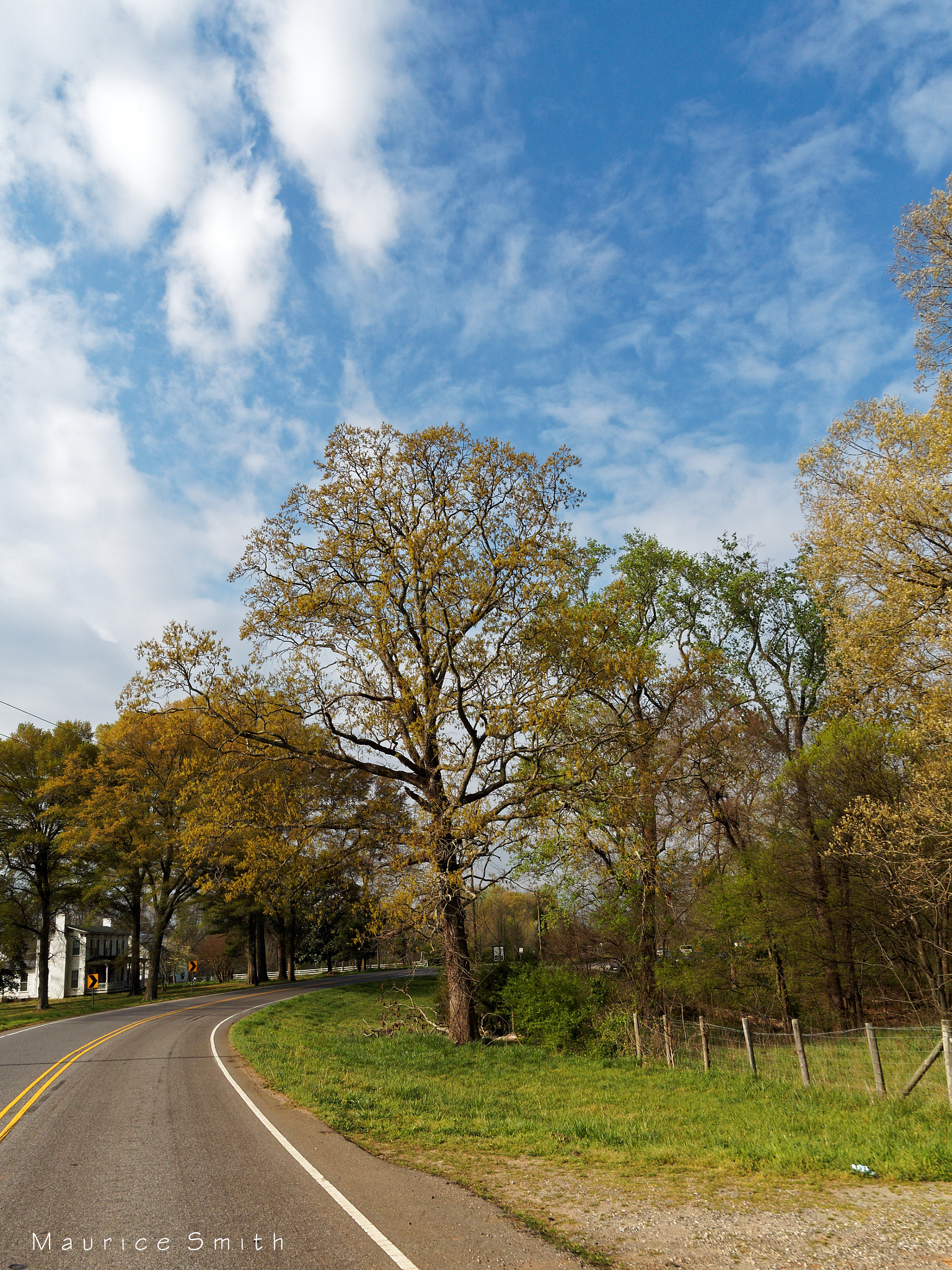 Olympus PEN E-PM2 sample photo. Spring day photography