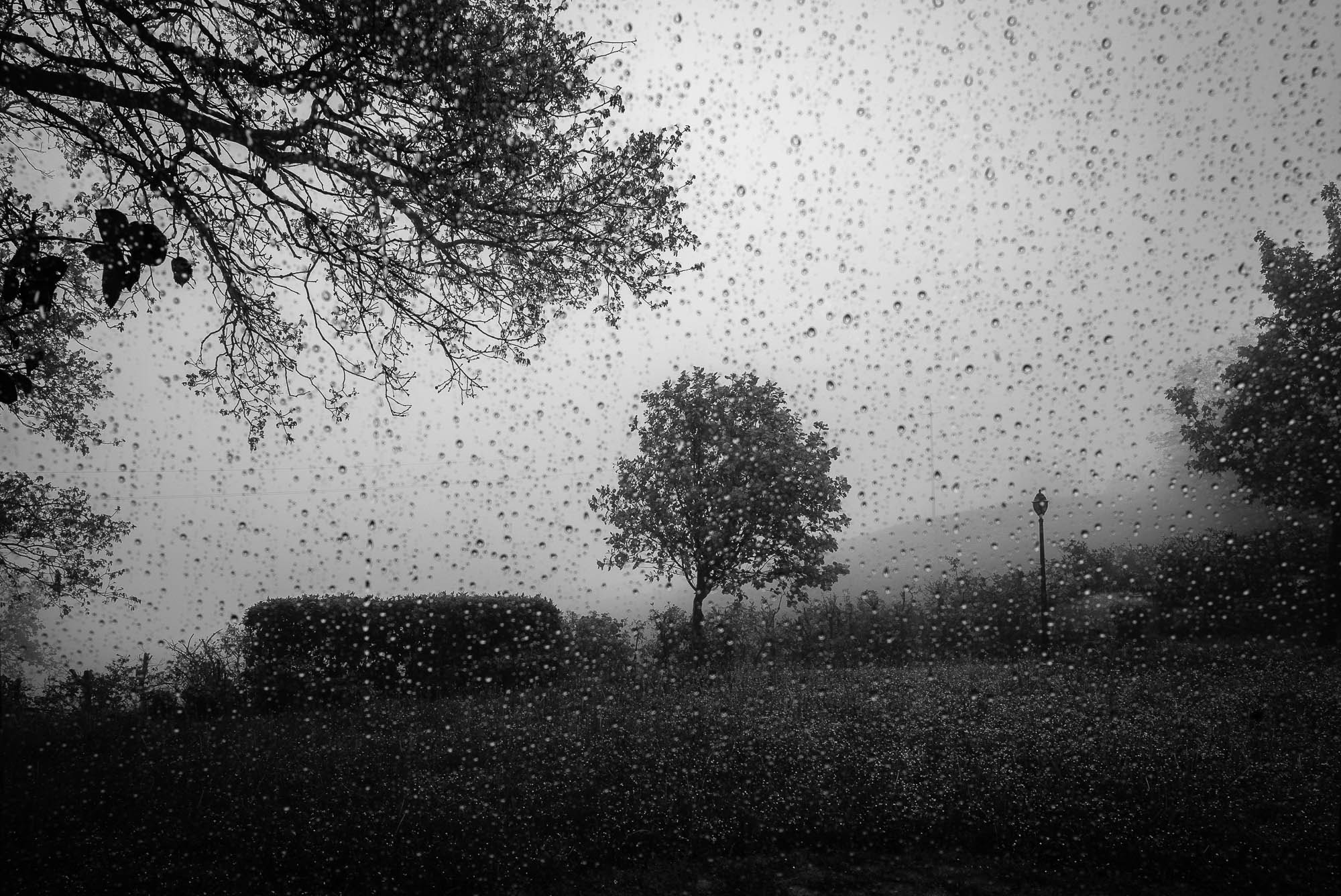 Elmarit-M 1:2.8/21 ASPH. sample photo. Rainy day #2 photography