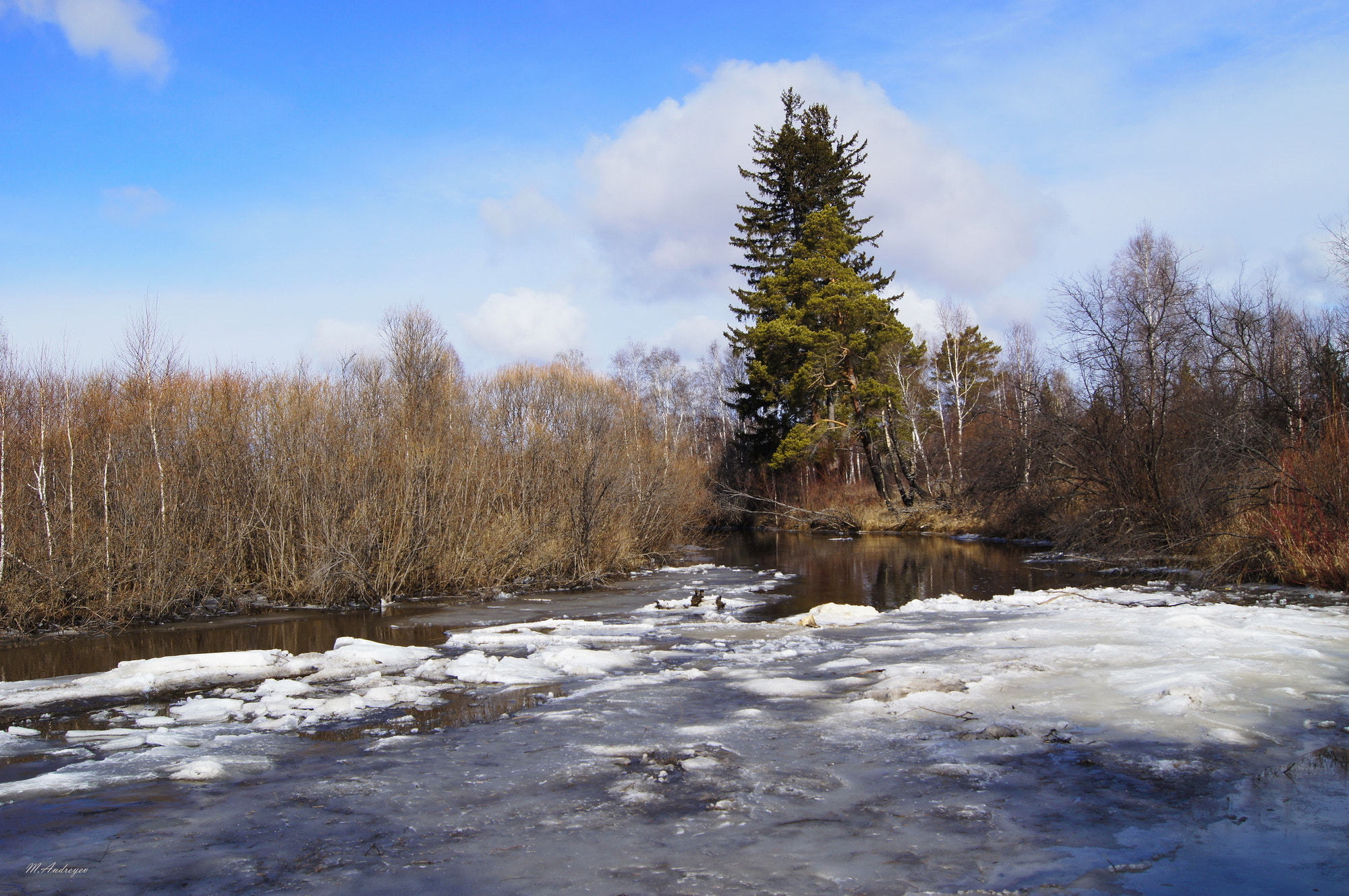 Sony Alpha DSLR-A580 sample photo. Spring photography