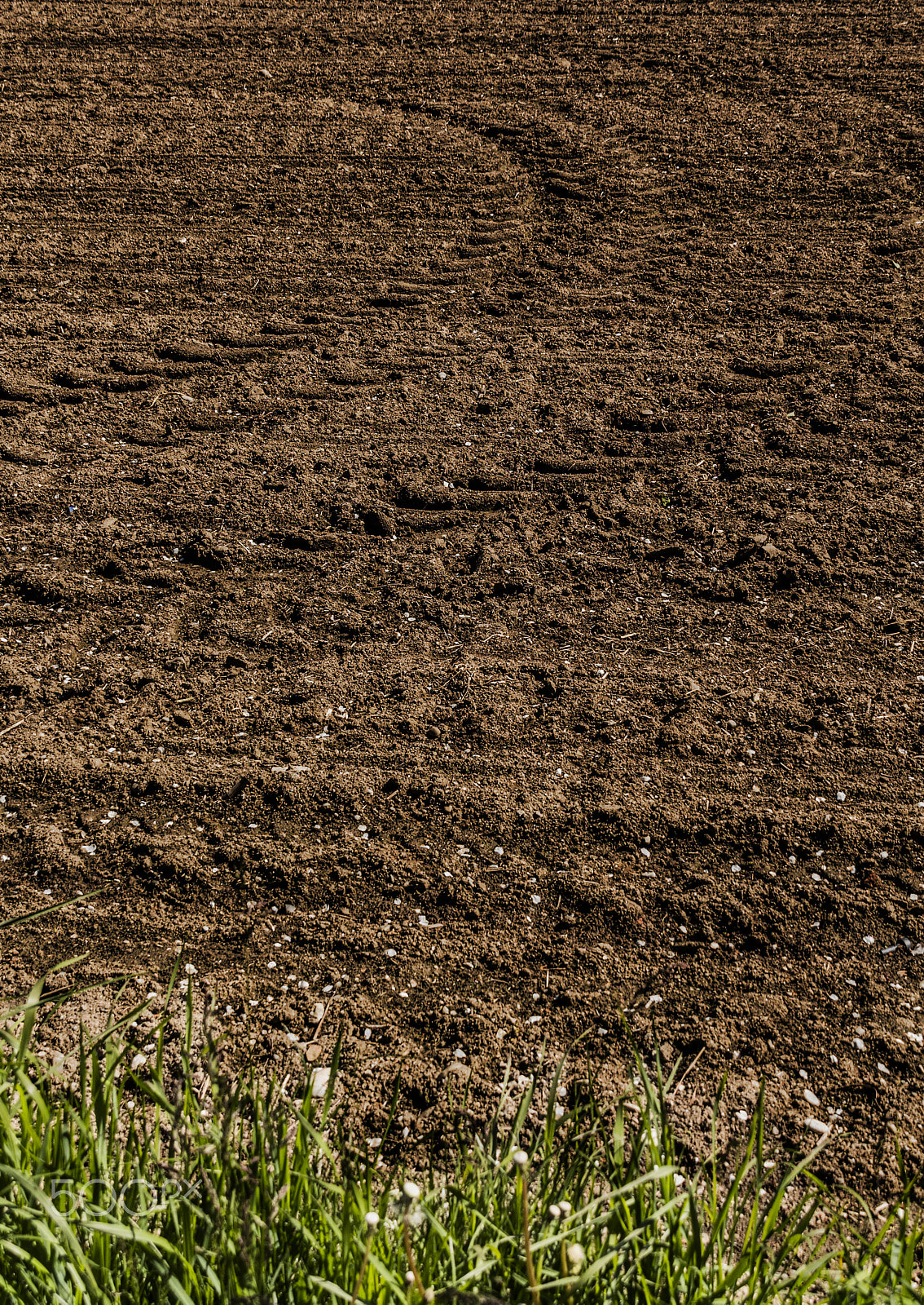 Sigma 18-200mm f/3.5-6.3 DC OS sample photo. Field photography
