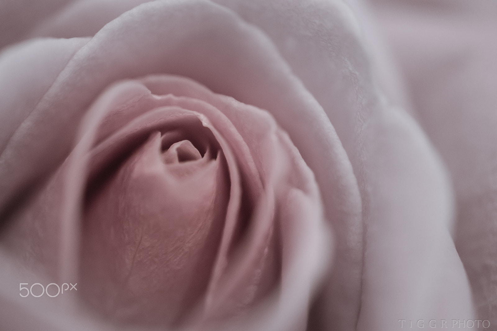 Samsung NX30 + Samsung NX 60mm F2.8 Macro ED OIS SSA sample photo. Layers photography