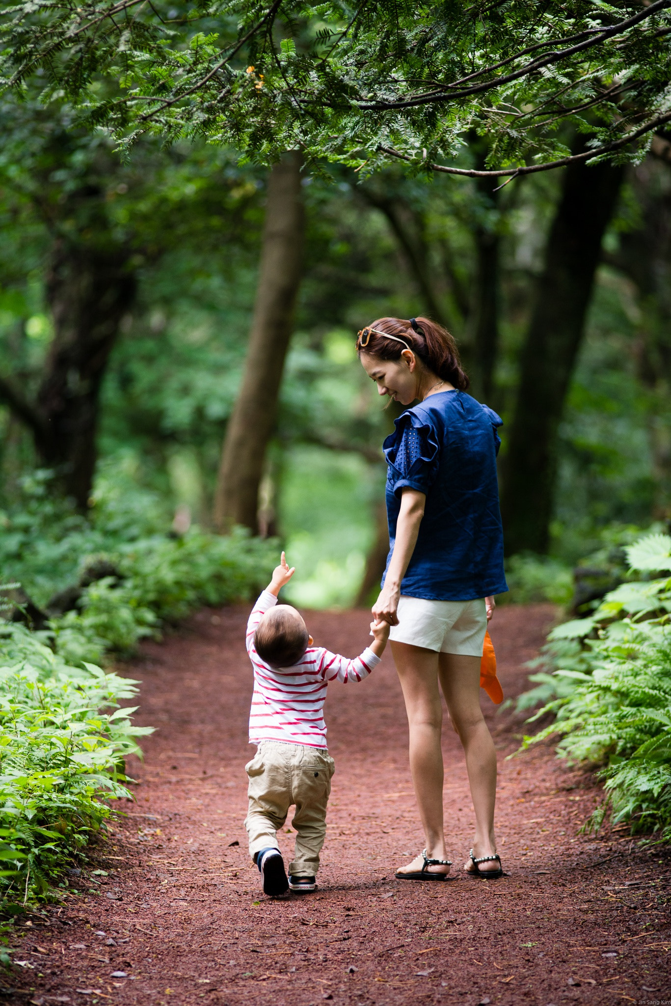 Nikon AF Nikkor 180mm F2.8D ED-IF sample photo. @jeju photography