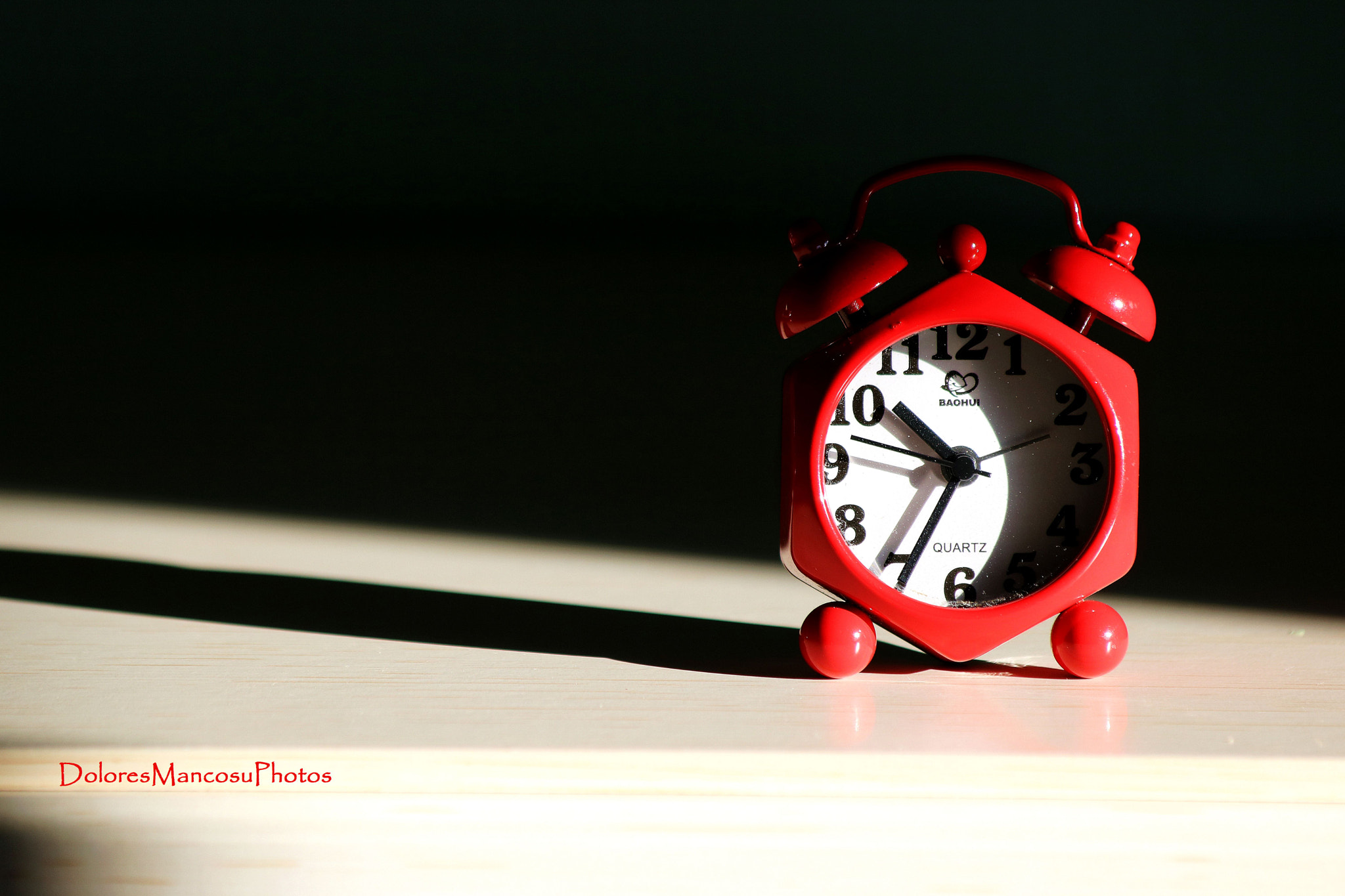 Canon EF 70-300mm F4-5.6 IS USM sample photo. The short time line photography