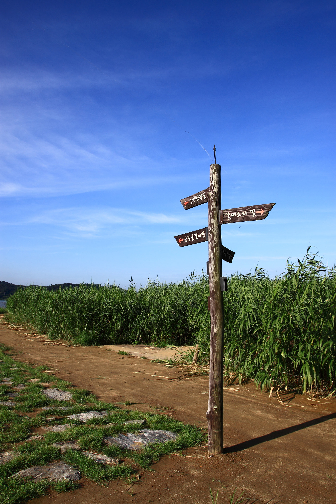 Sigma 18-250mm F3.5-6.3 DC OS HSM sample photo. Forked road photography