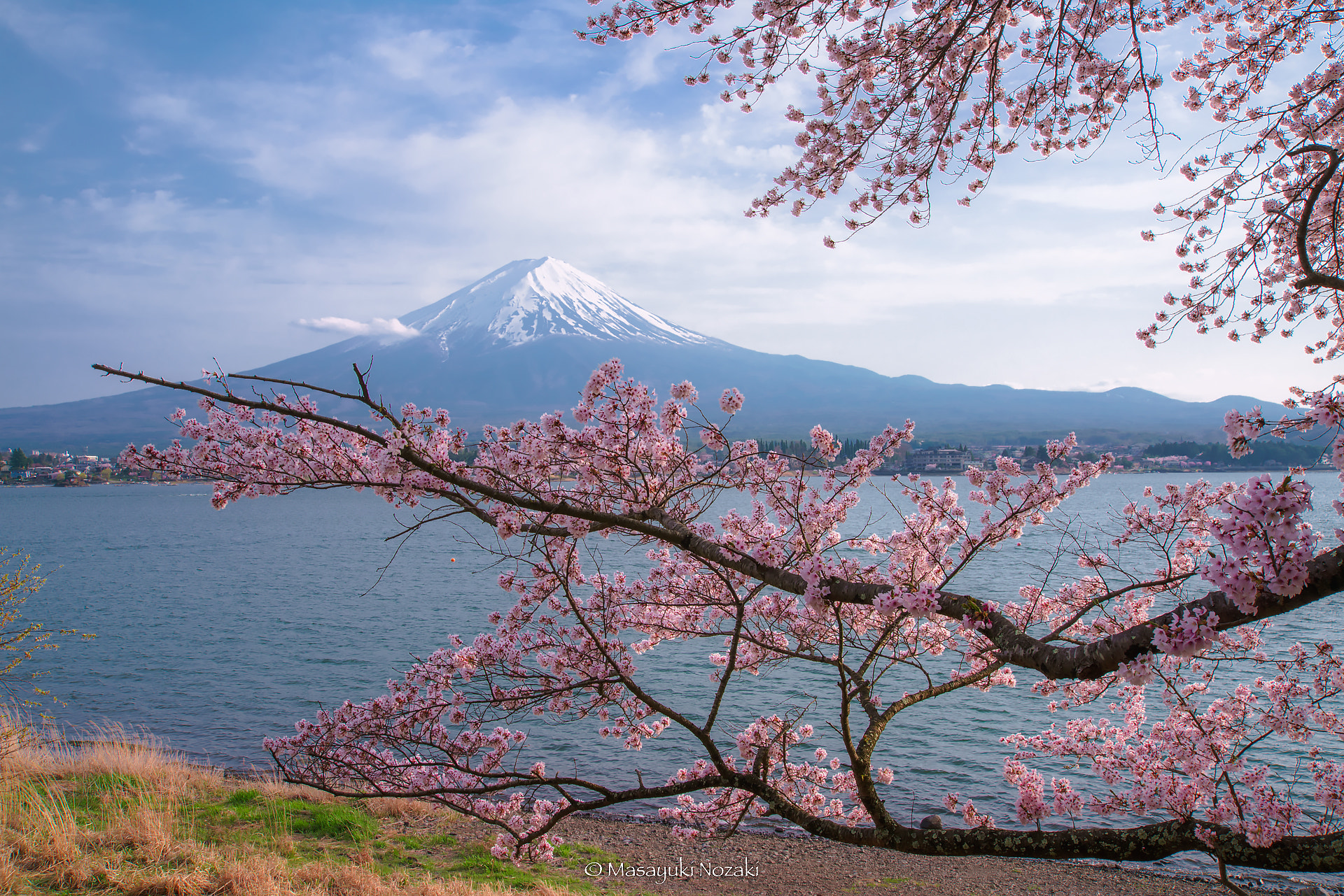 Tamron 18-270mm F3.5-6.3 Di II PZD sample photo. Perfect spring in japan photography