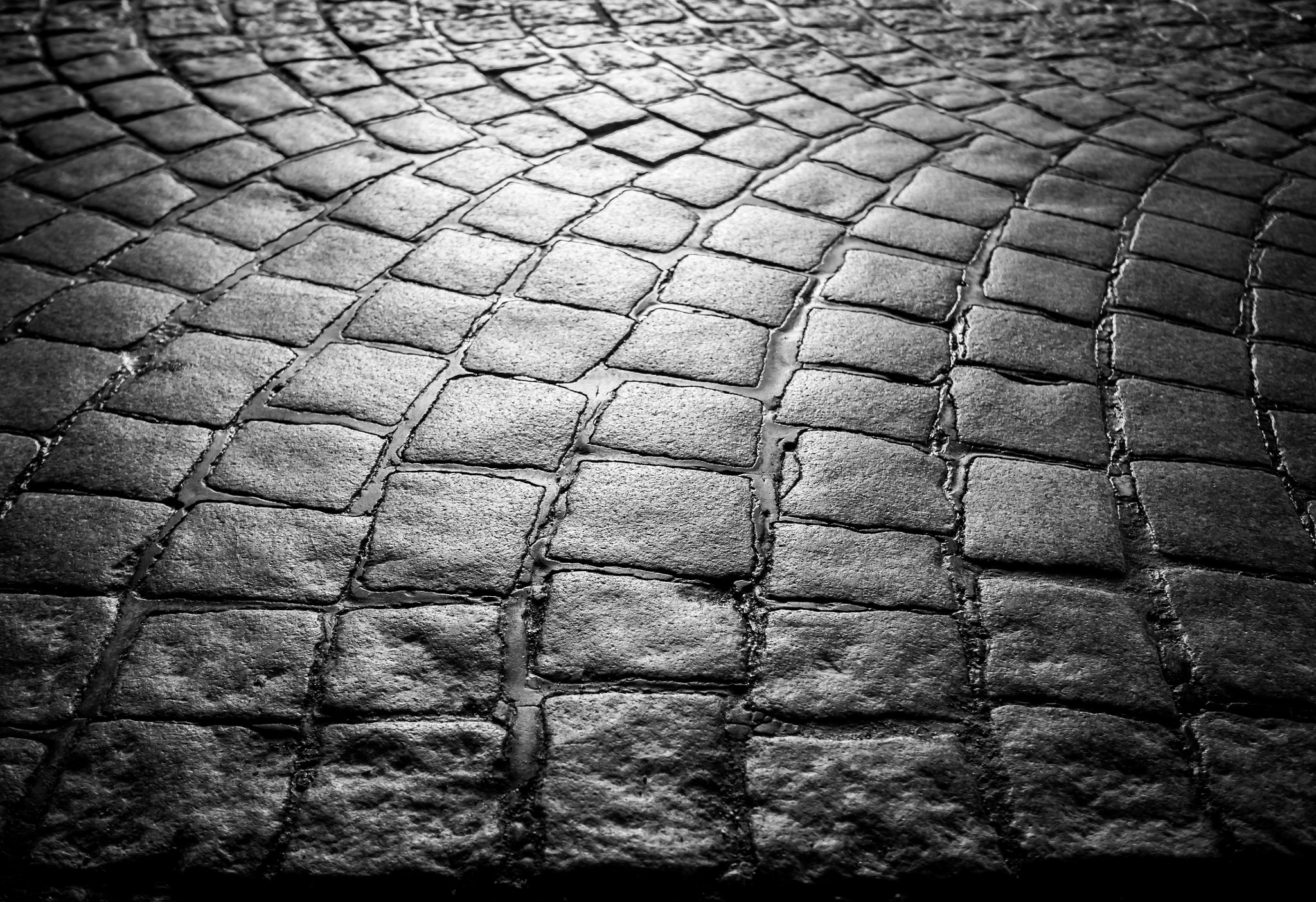 Olympus OM-D E-M10 II + Olympus M.Zuiko Digital 17mm F1.8 sample photo. Crocodile photography
