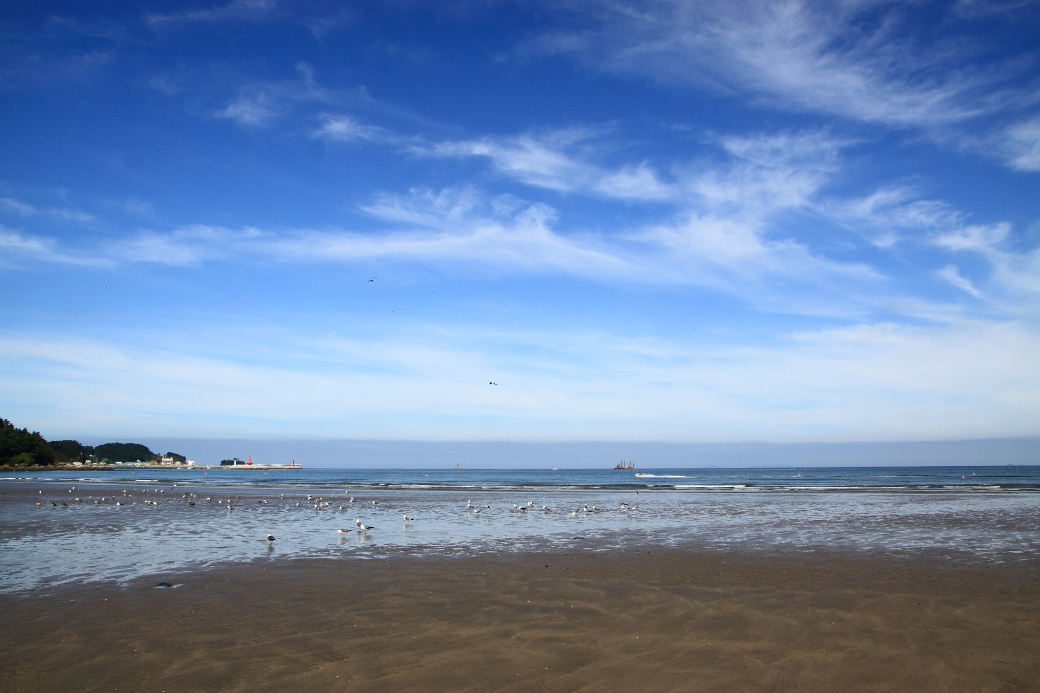 Sigma 18-250mm F3.5-6.3 DC OS HSM sample photo. Beach photography