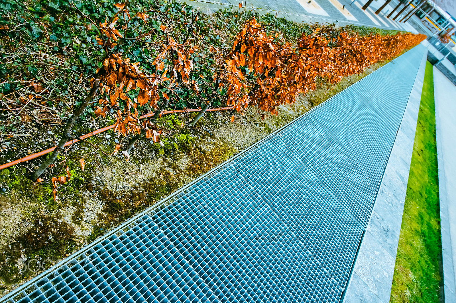 Canon EF-S 10-18mm F4.5–5.6 IS STM sample photo. Side walk.jpg photography