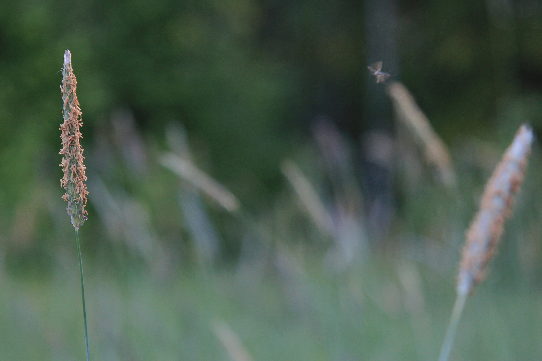 Canon EF 24-85mm F3.5-4.5 USM sample photo. Clear for landing photography