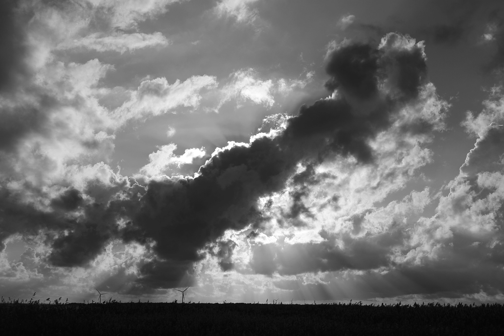Canon EOS 550D (EOS Rebel T2i / EOS Kiss X4) + Canon EF 24-85mm F3.5-4.5 USM sample photo. Clouds b/w photography