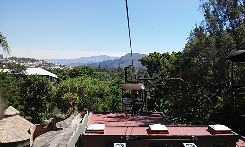 LG L70 sample photo. 20150505_112105.jpg photography