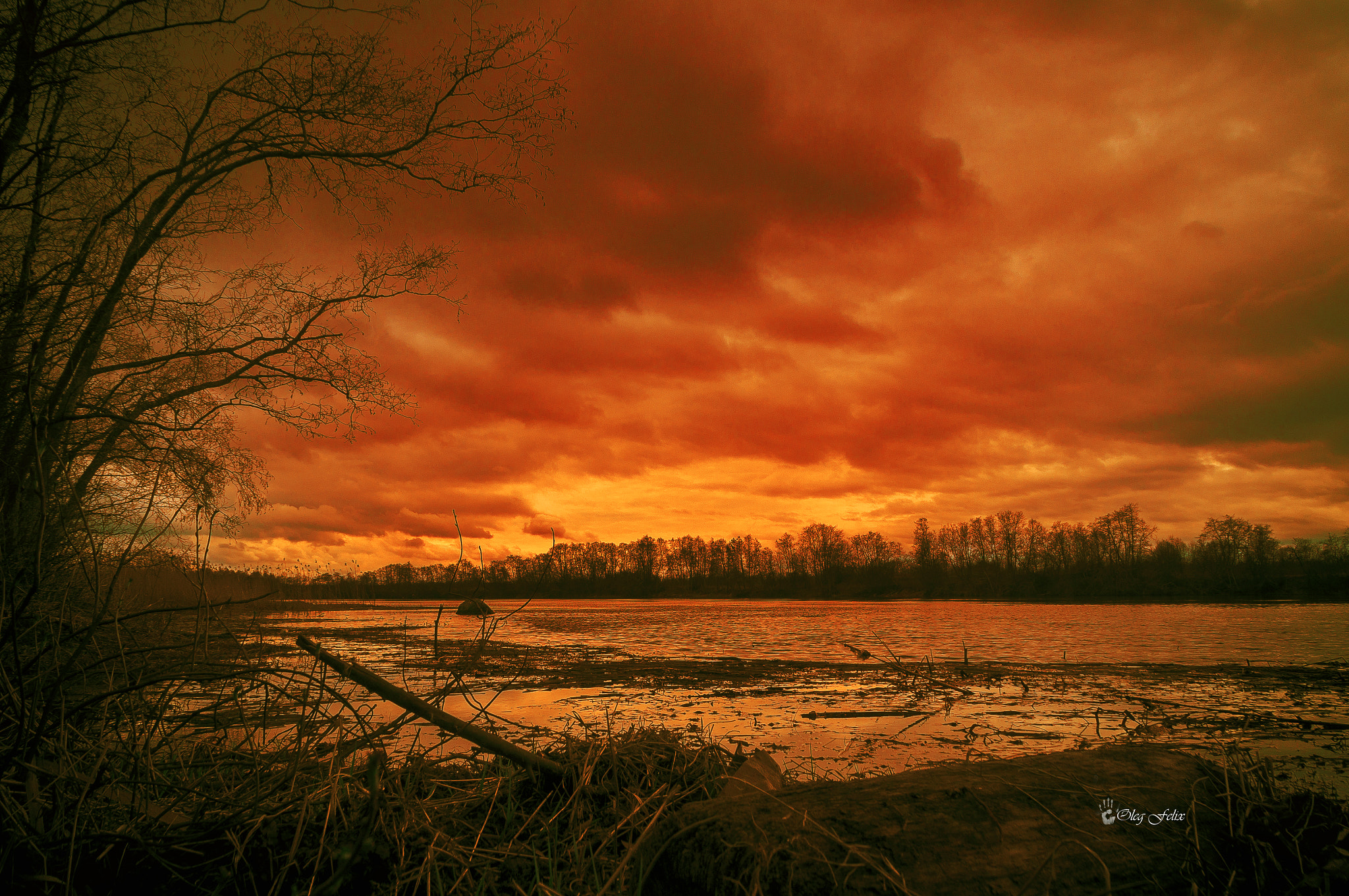 Sony SLT-A37 sample photo. Tomorrow will be a breeze. photography