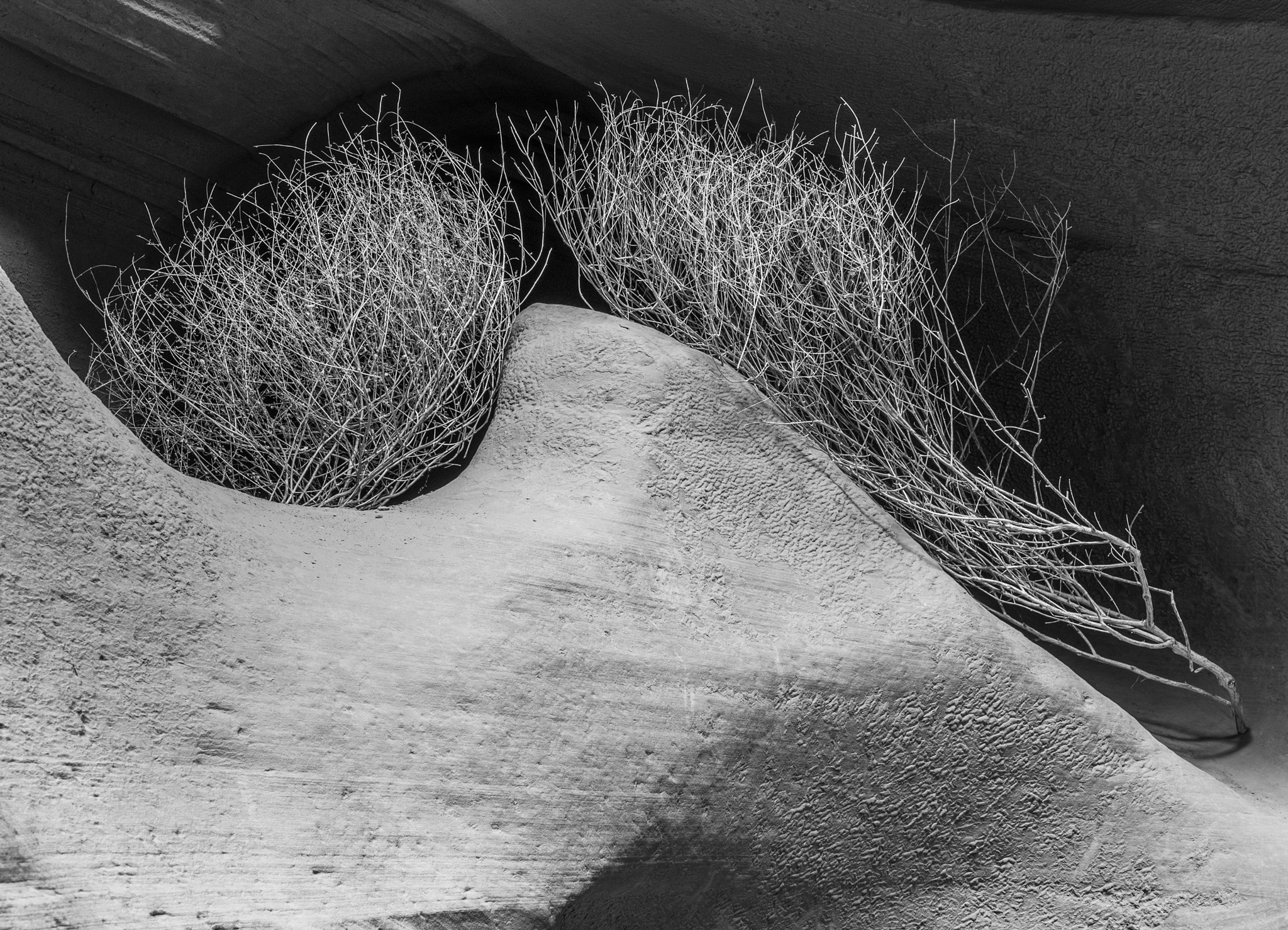 Panasonic Lumix DMC-GH3 sample photo. Dry tumbleweed antelope canyon photography