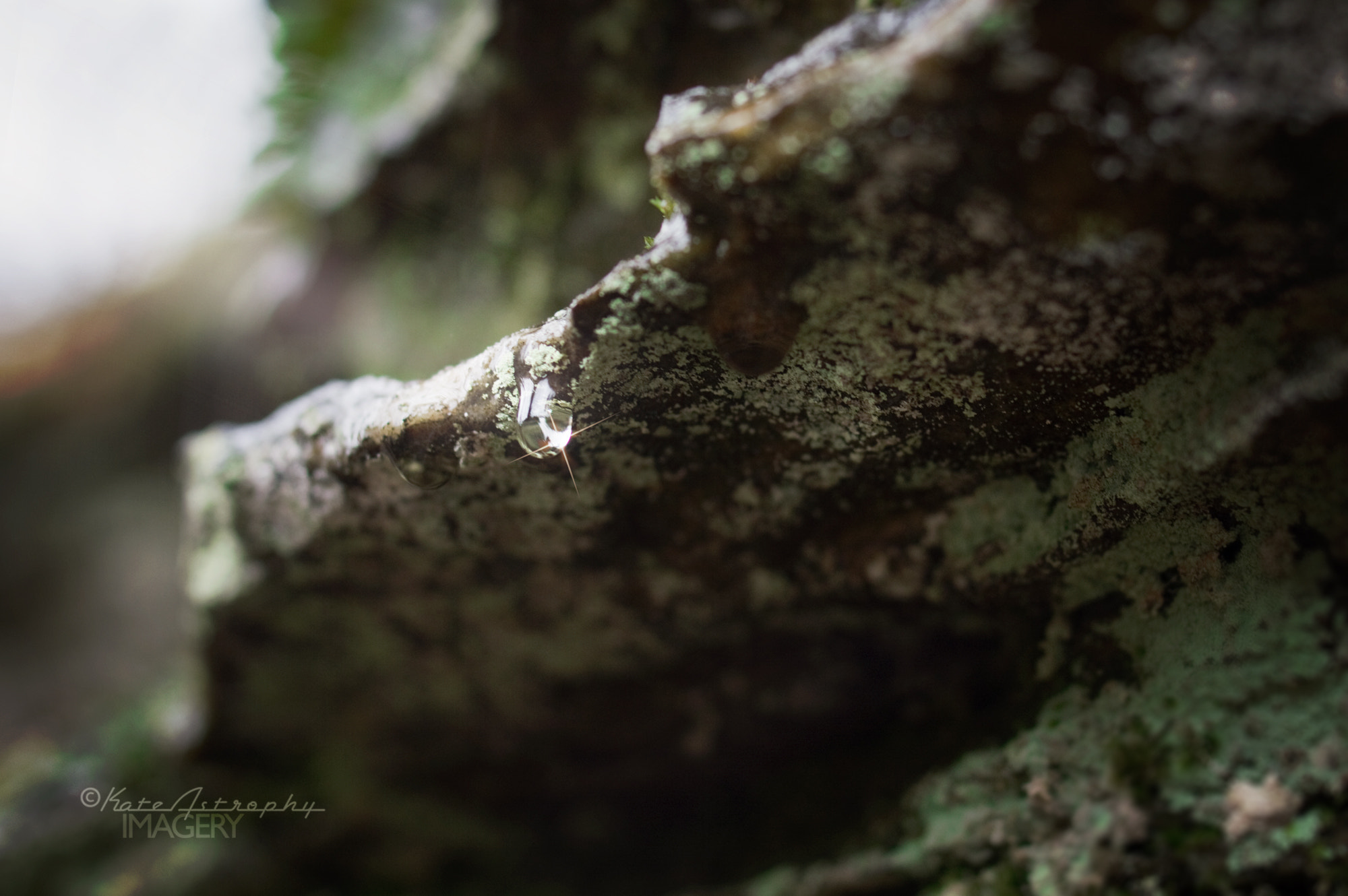 Nikon D3200 + Nikon AF-S Nikkor 28mm F1.8G sample photo. After the rain photography