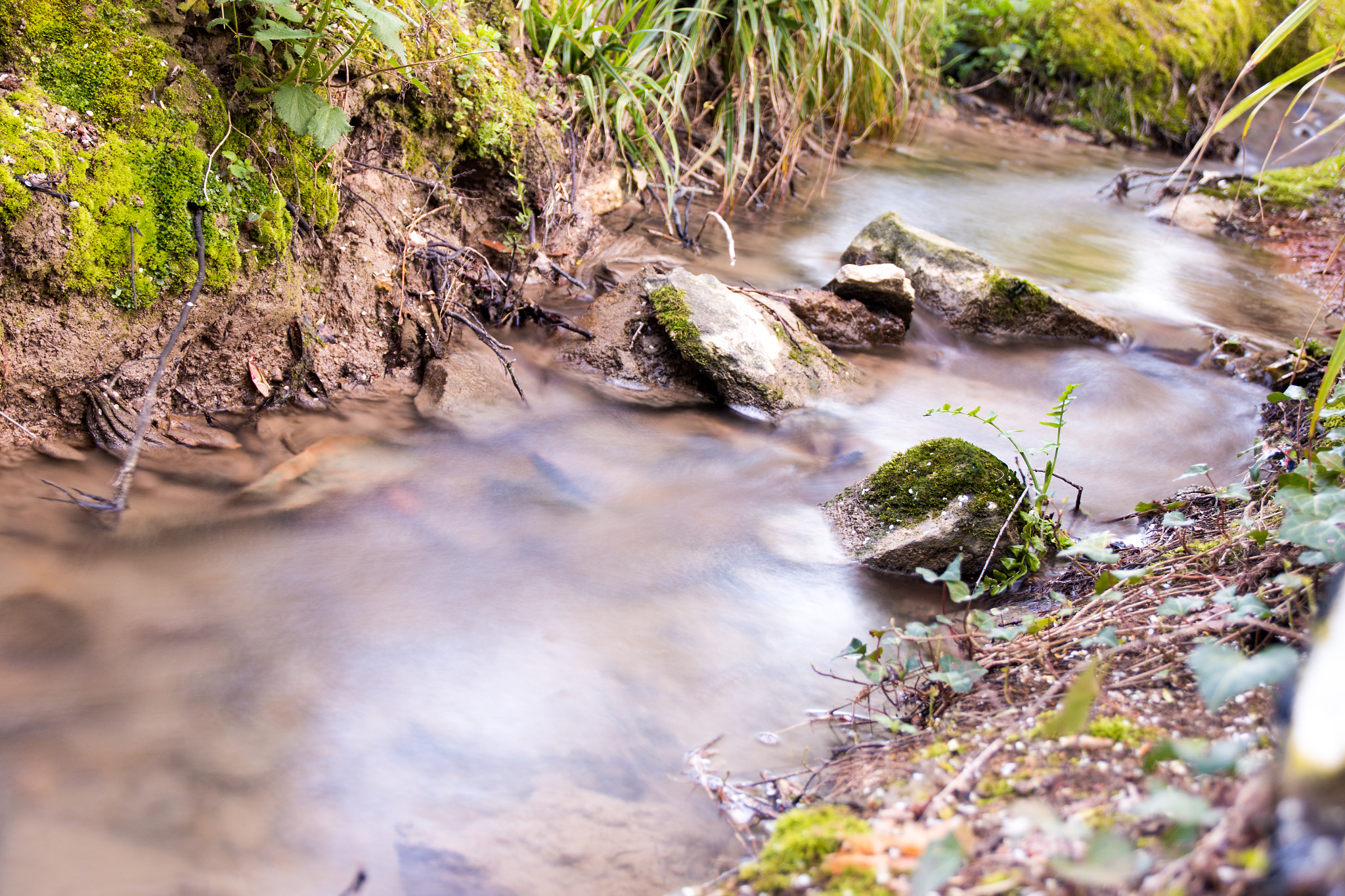 Canon EOS 70D + Canon EF 500mm F4L IS USM sample photo. A little river photography