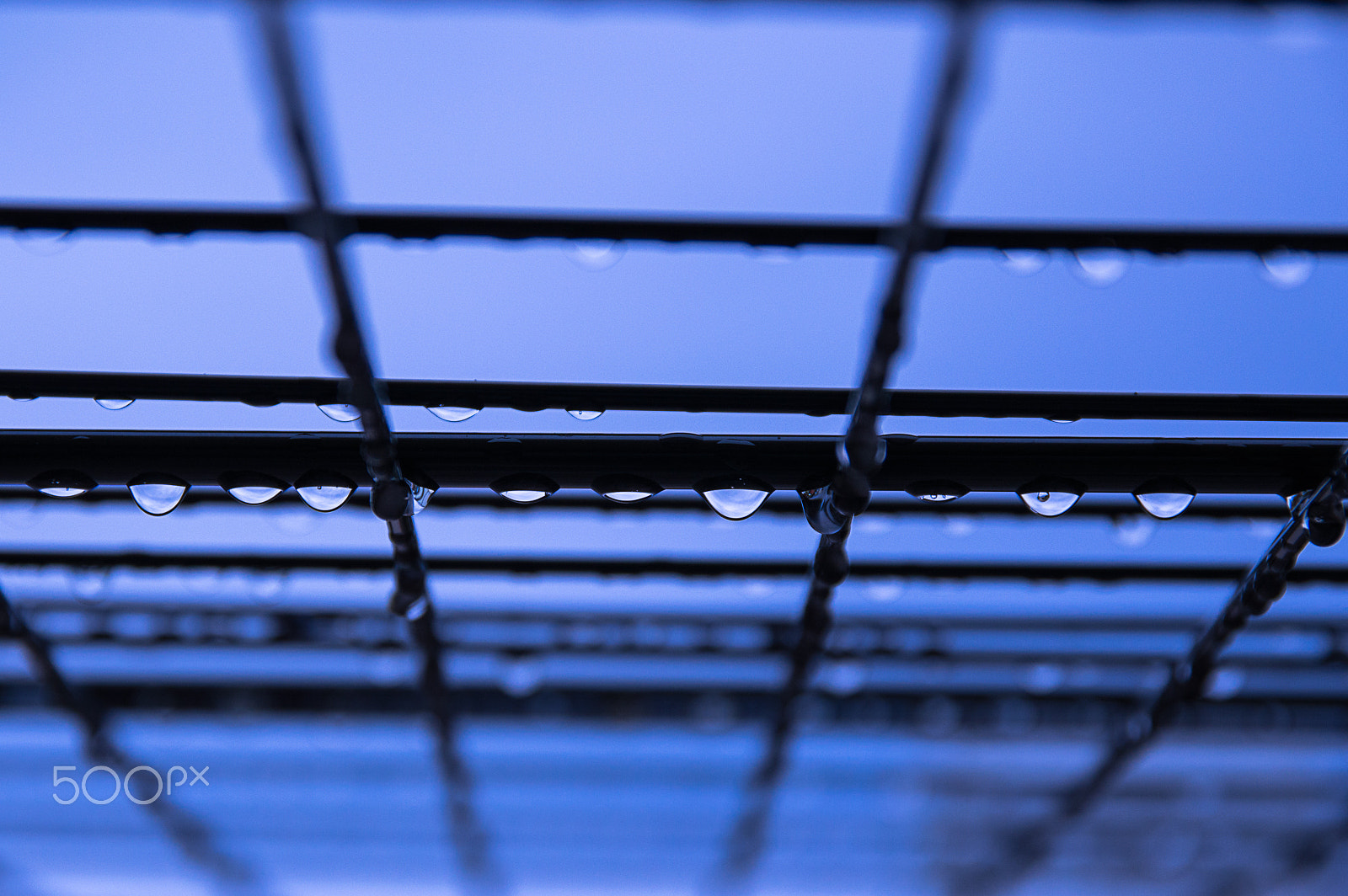 Sigma 17-70mm F2.8-4 DC Macro OS HSM | C sample photo. Drops photography