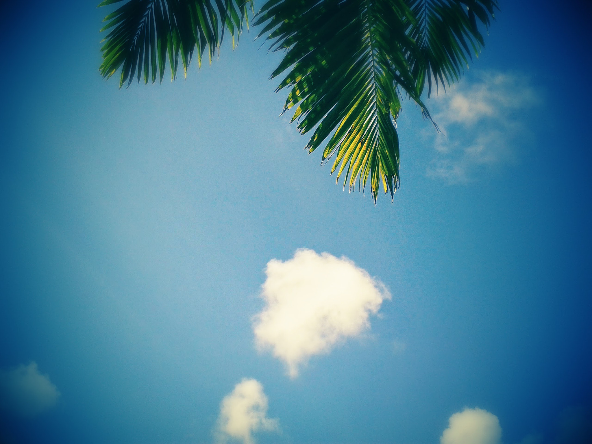 Samsung Galaxy S DUOS sample photo. Lazy daze photography